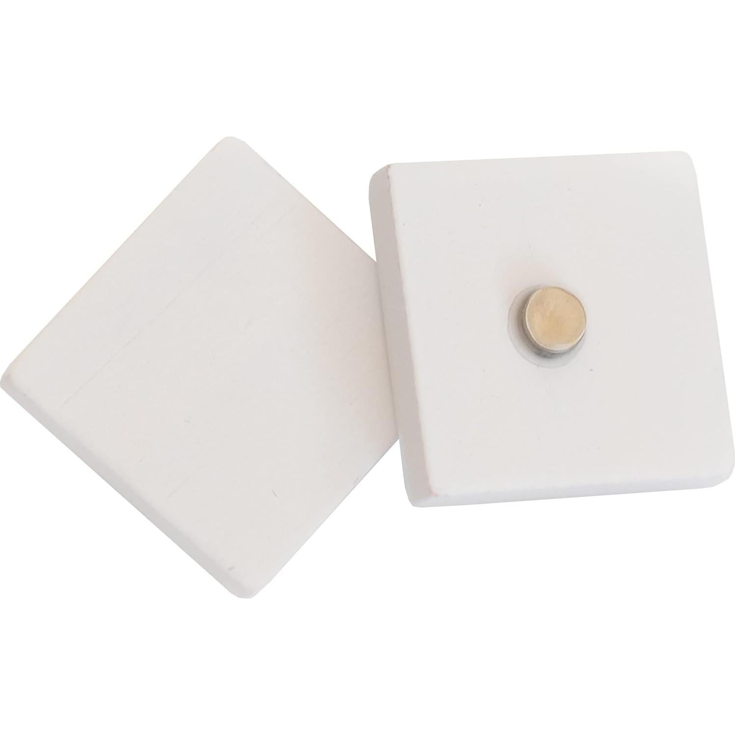 100 Azulejos Magnéticos de Madera Stiles para Enseñanza