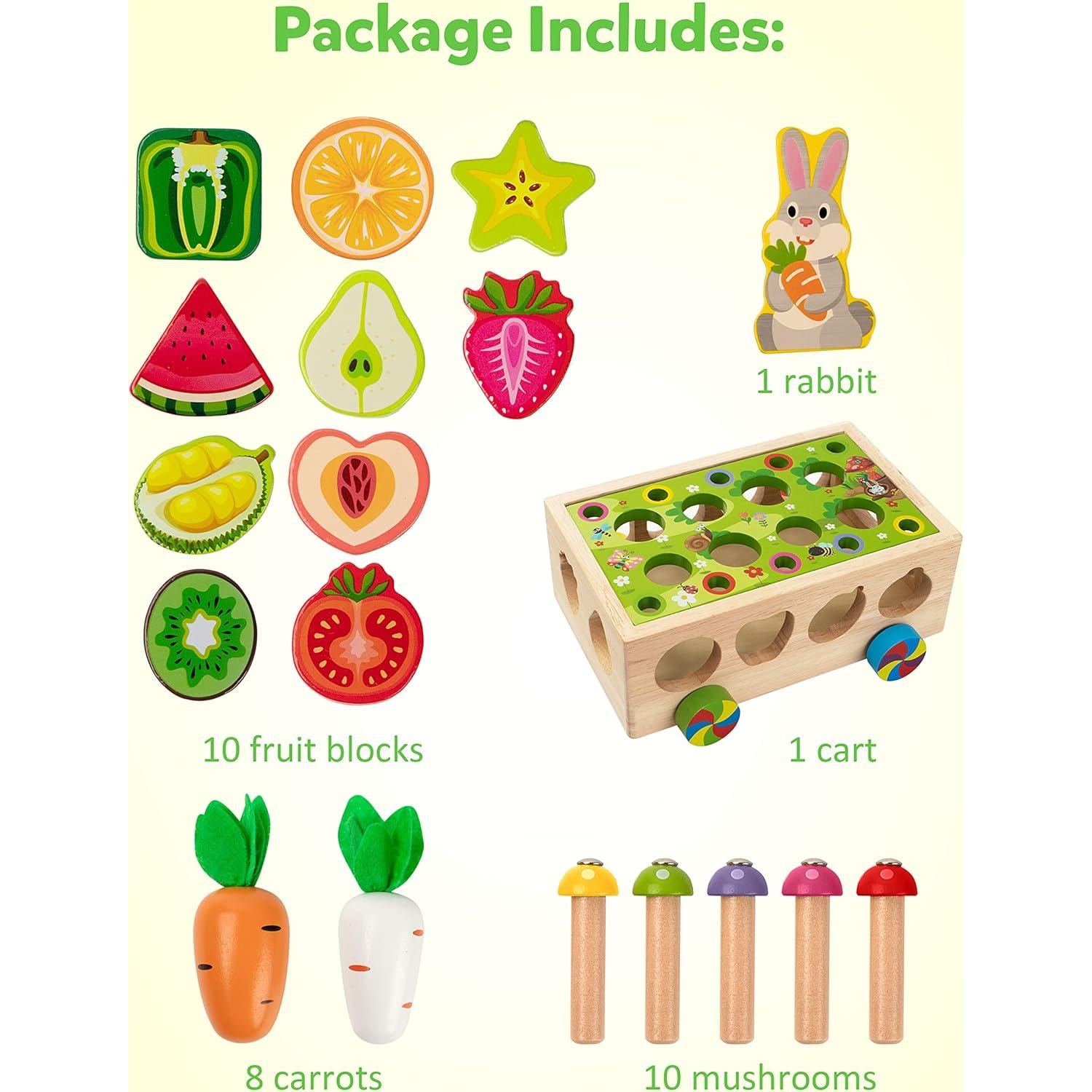 Juguete Montessori Coogam de Motricidad Fina para Niños 3-5 Años