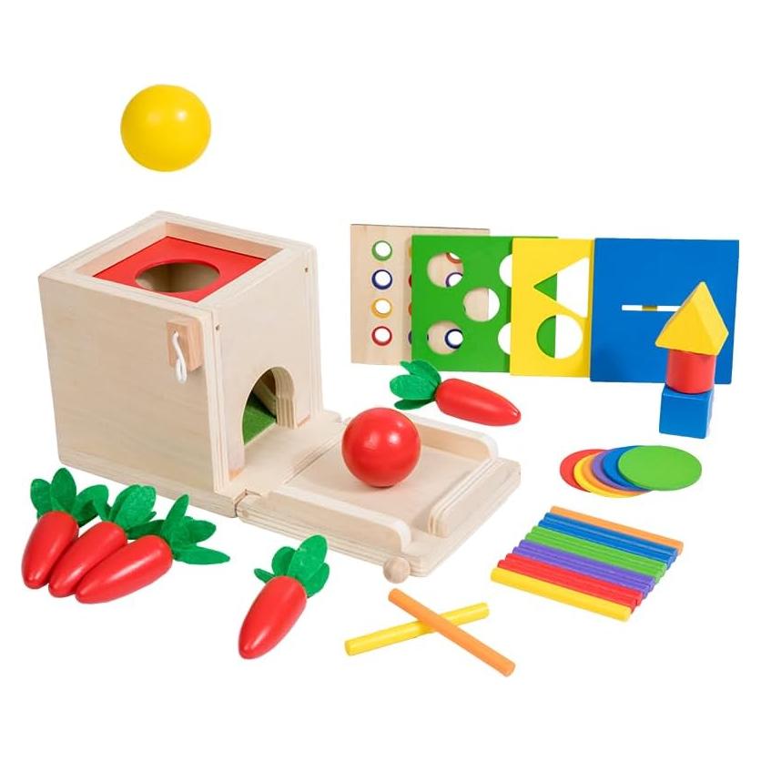 Juguete Educativo Montessori 5-en-1 EduLand para Niños 3-6 Años