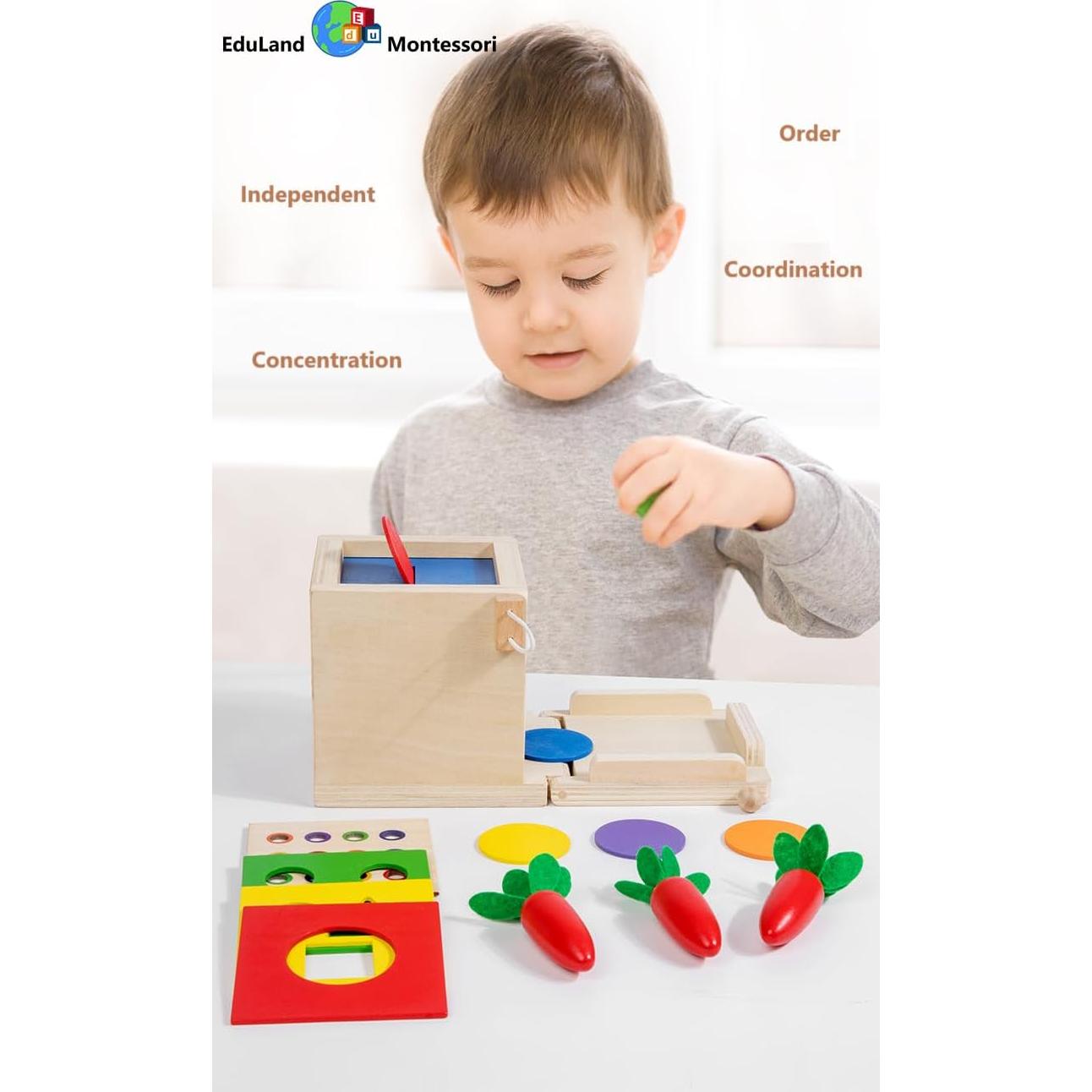 Juguete Educativo Montessori 5-en-1 EduLand para Niños 3-6 Años