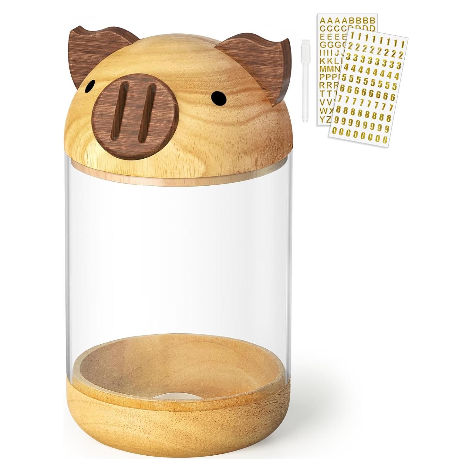 Alcancía de Madera y Acrílico Hicocool Cerdito Transparente