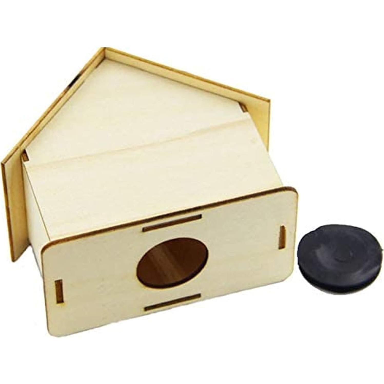 Alcancía de Madera DIY Alfyng 6 Pcs para Pintar y Decorar