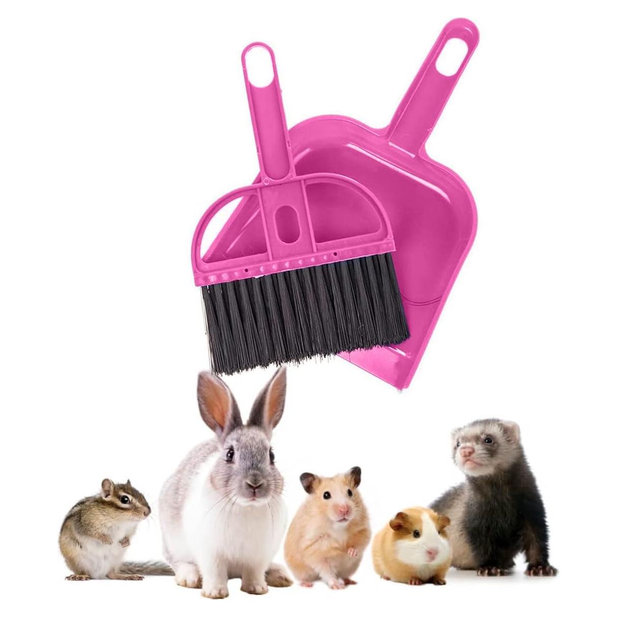 Juego de Escoba y Recogedor Mini 2 Brothers Rosa 19.5x13 cm