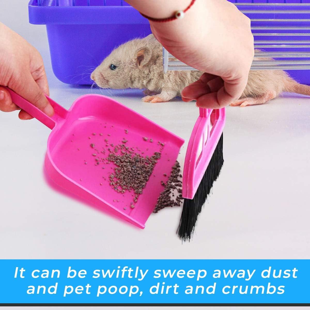 Juego de Escoba y Recogedor Mini 2 Brothers Rosa 19.5x13 cm