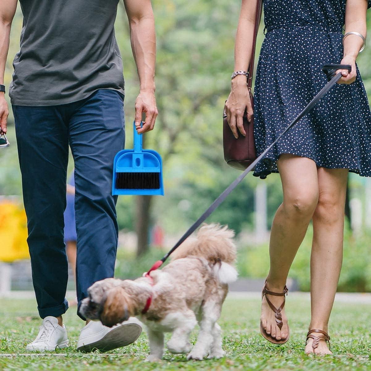 Juego de Escoba y Recogedor Compacto Mengqianxun - Azul