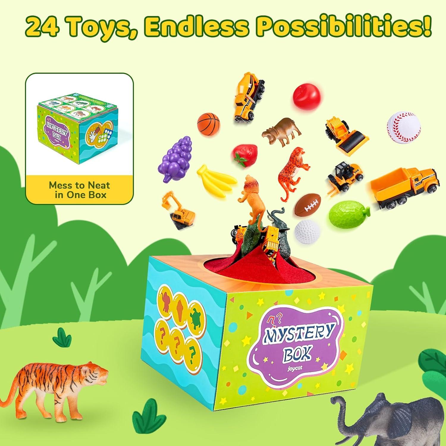 JoyCat Juguetes de Clasificación 24 Piezas para Niños 3-5 Años