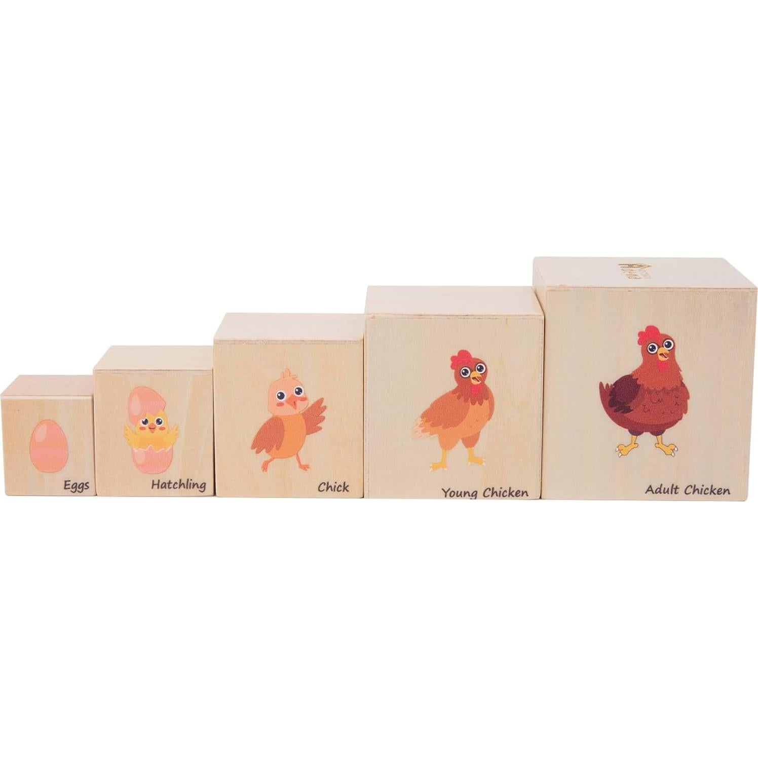 Bloques Anidados de Madera Montessori - Ciclos de Vida 5 Pcs