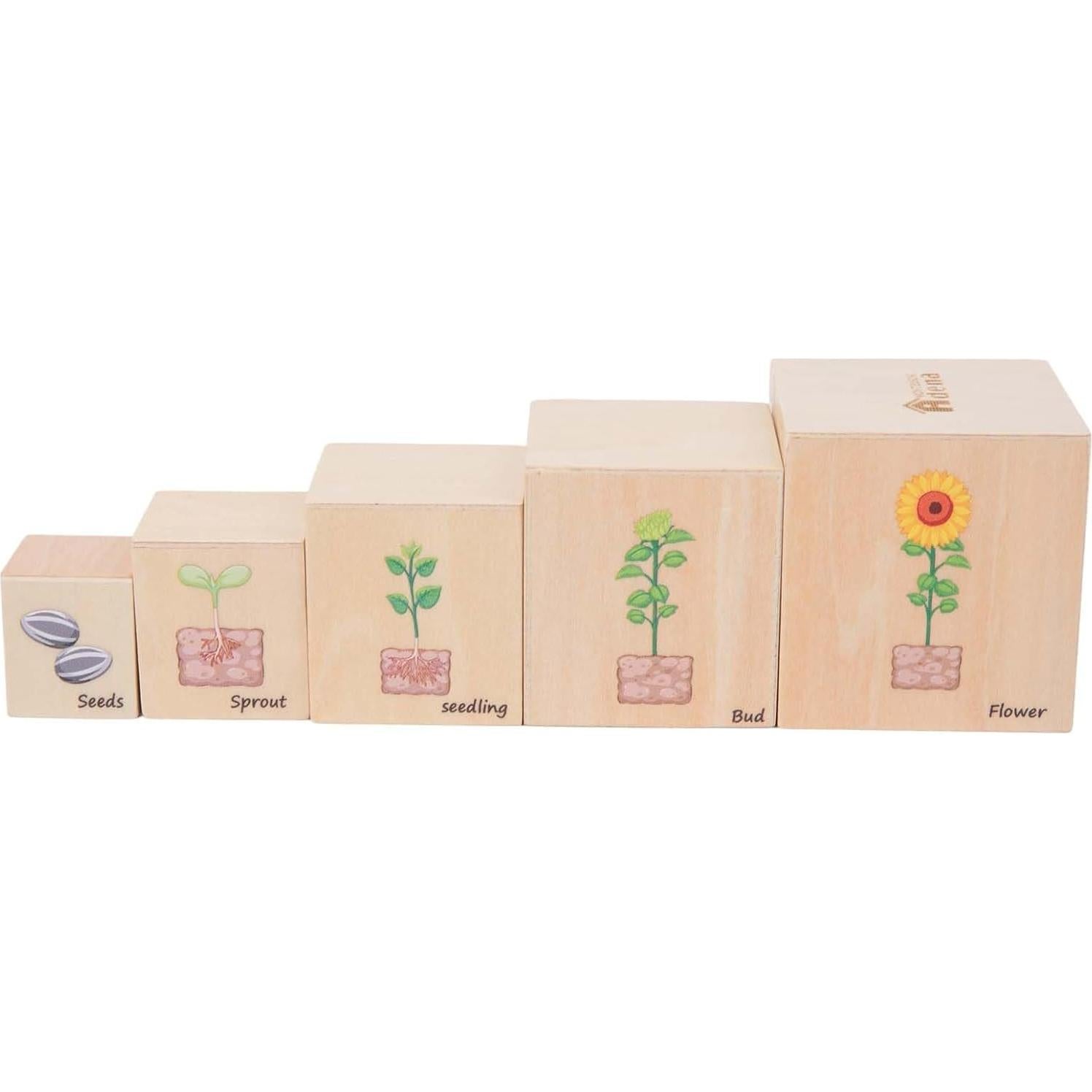 Bloques Anidados de Madera Montessori - Ciclos de Vida 5 Pcs