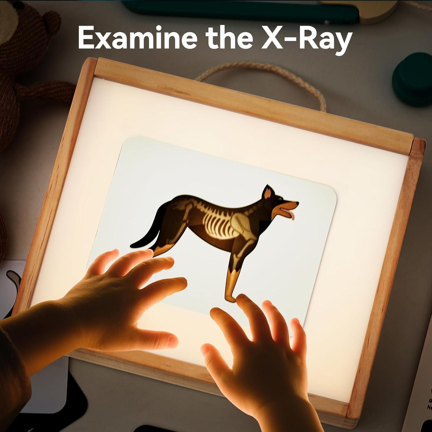 Kit de Doctor Veterinario Macabaka con Rayos X y Caja de Luz