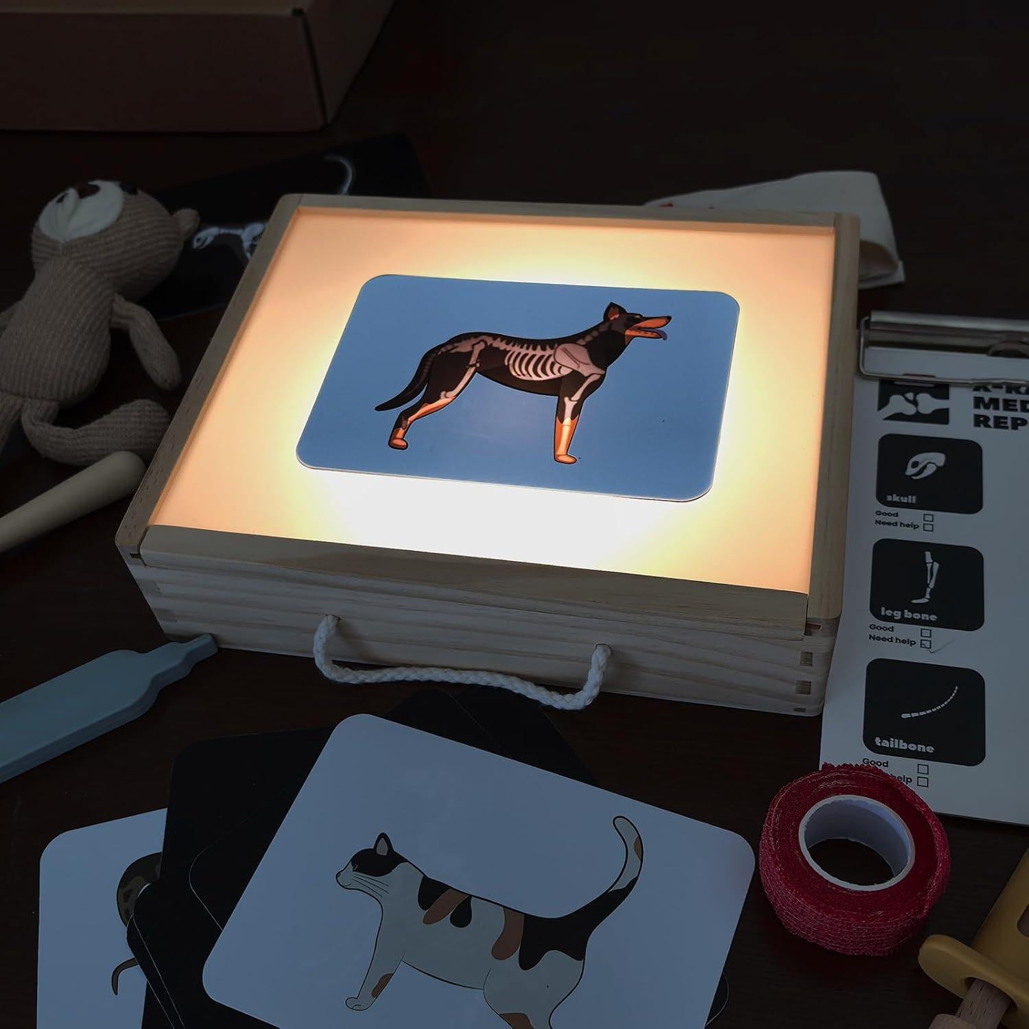 Kit de Doctor Veterinario Macabaka con Rayos X y Caja de Luz