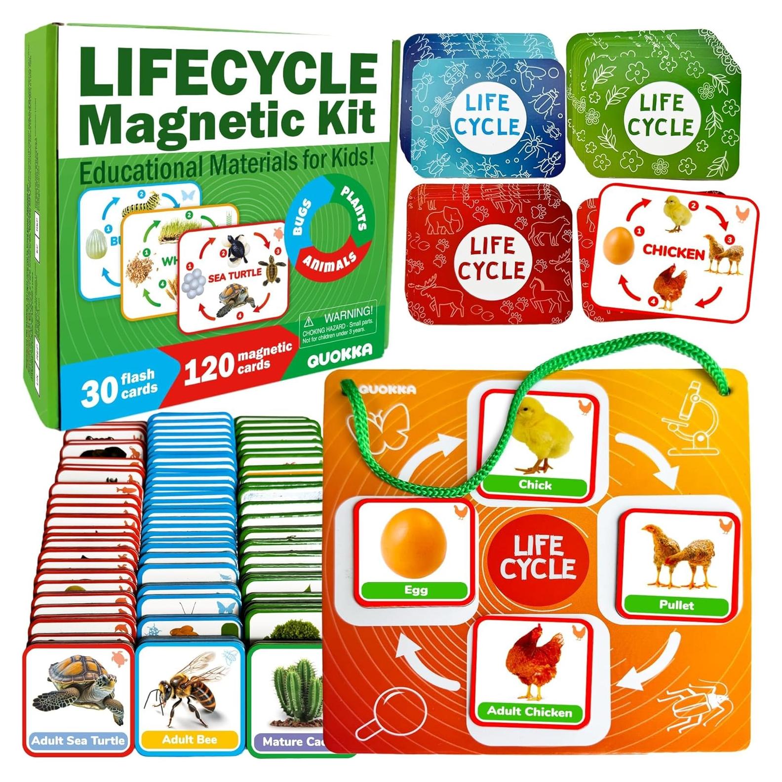 Kit Magnético de Ciclo de Vida QUOKKA - 120 Tarjetas Didácticas