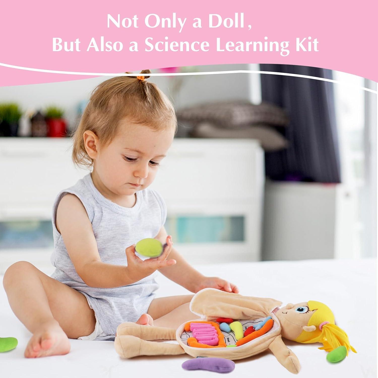 Juguete de Anatomía del Cuerpo Humano Vocheer 50x34 cm