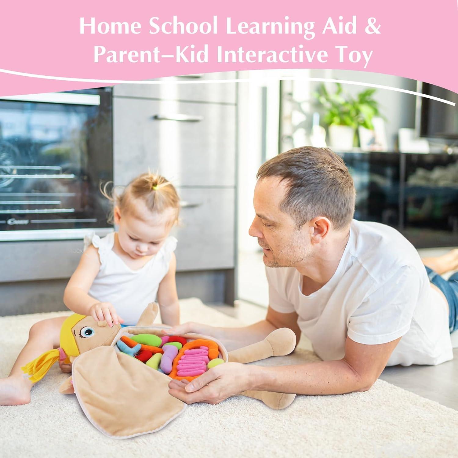 Juguete de Anatomía del Cuerpo Humano Vocheer 50x34 cm