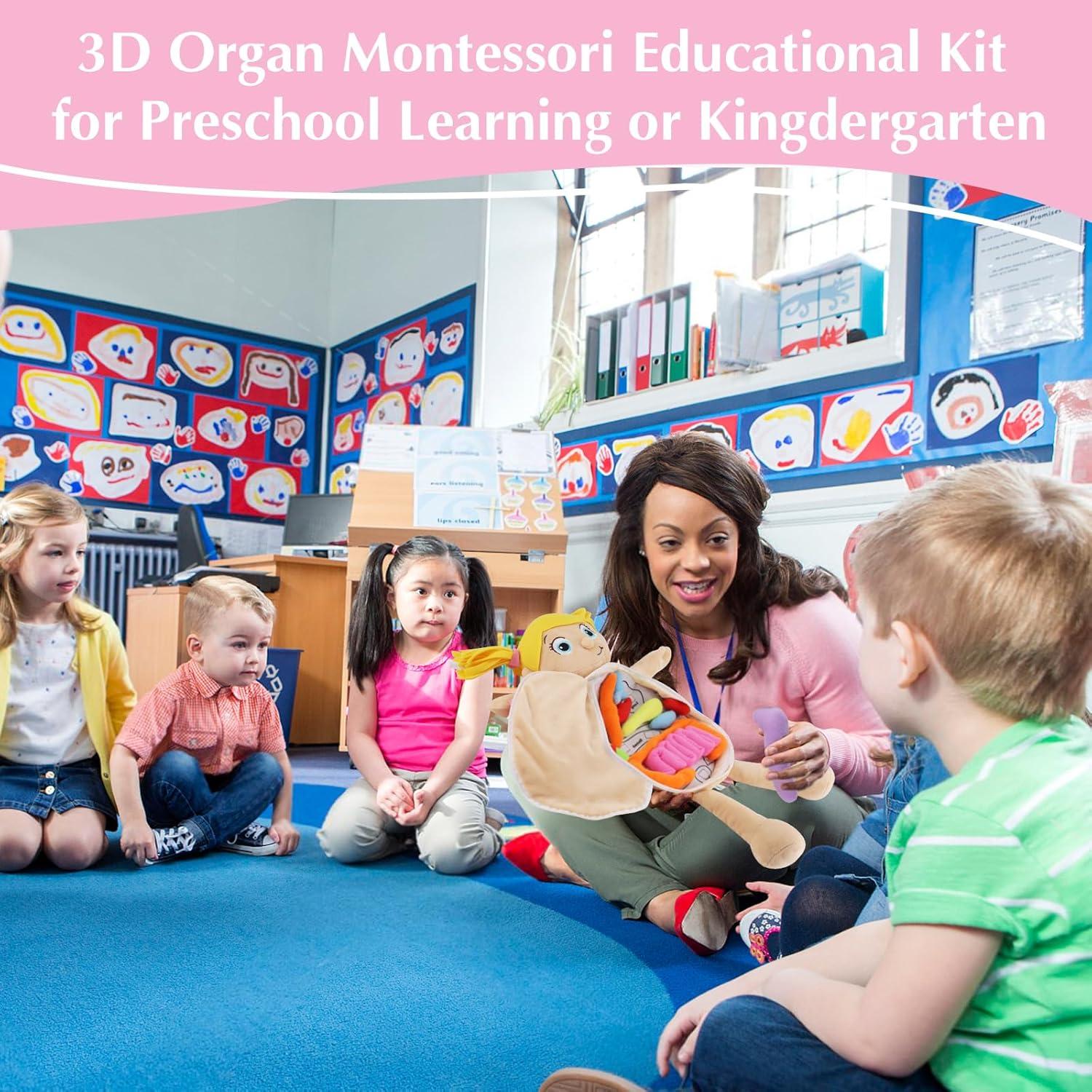 Juguete de Anatomía del Cuerpo Humano Vocheer 50x34 cm