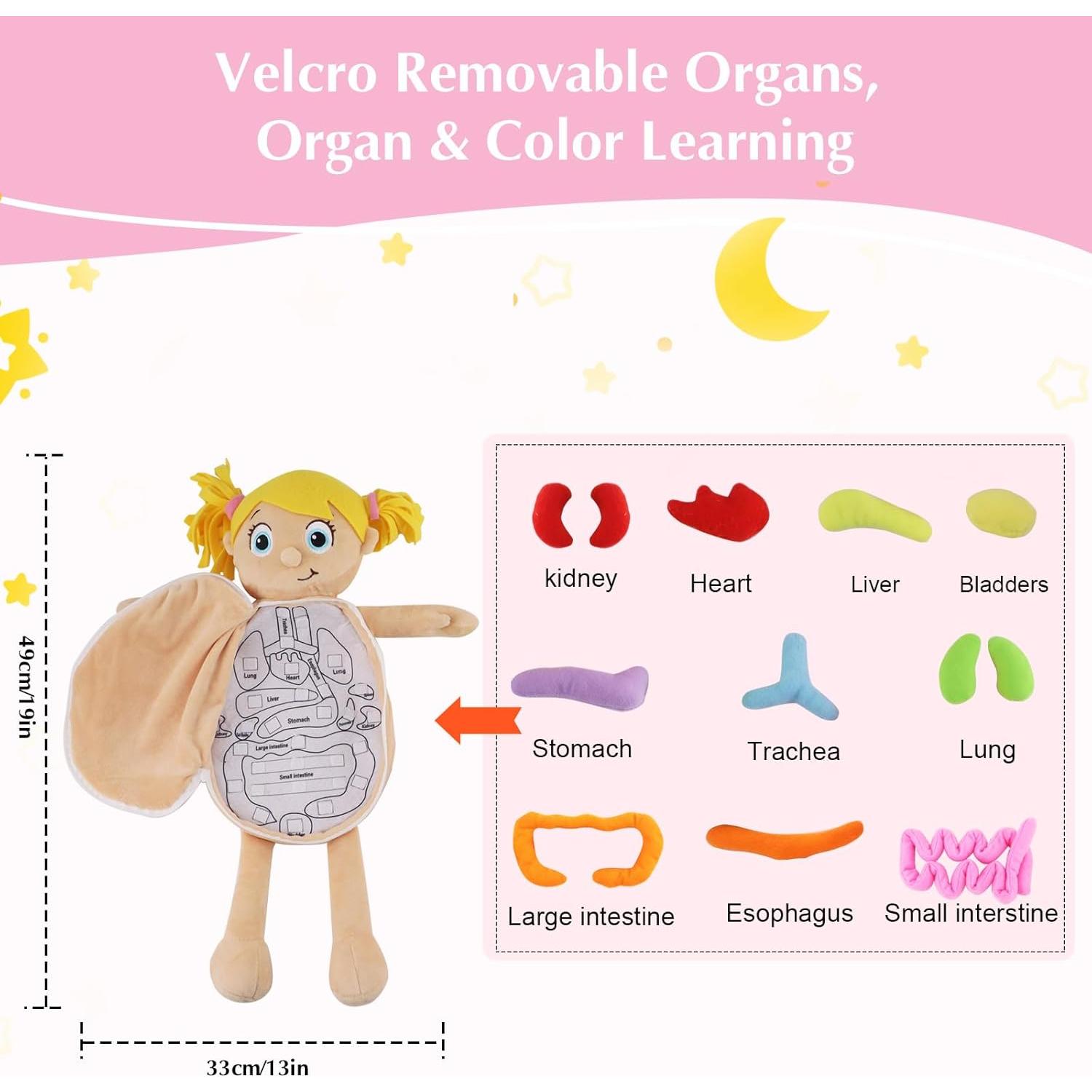 Juguete de Anatomía del Cuerpo Humano Vocheer 50x34 cm