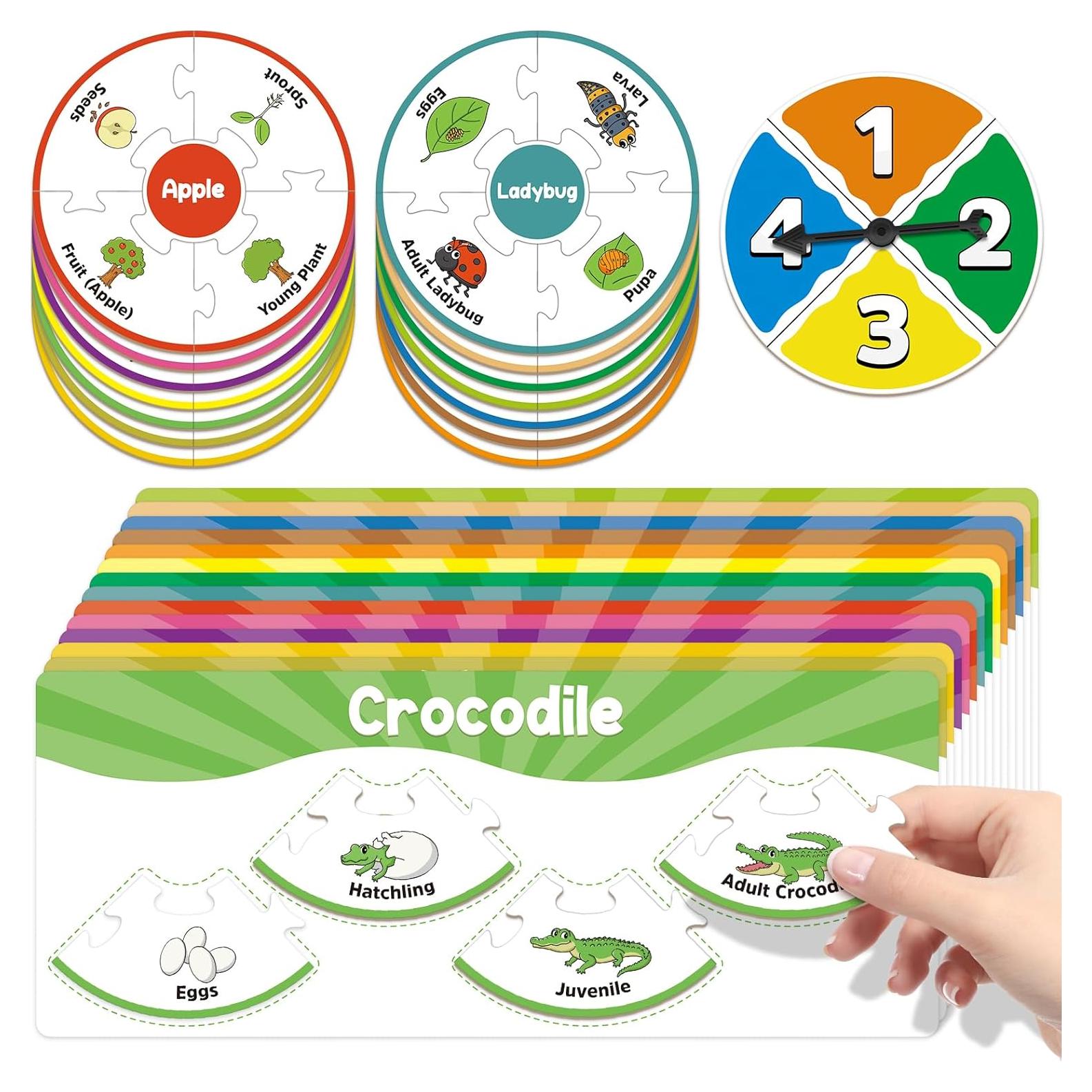 Rompecabezas Ciclo de Vida Montessori Dingliu - 14 Piezas