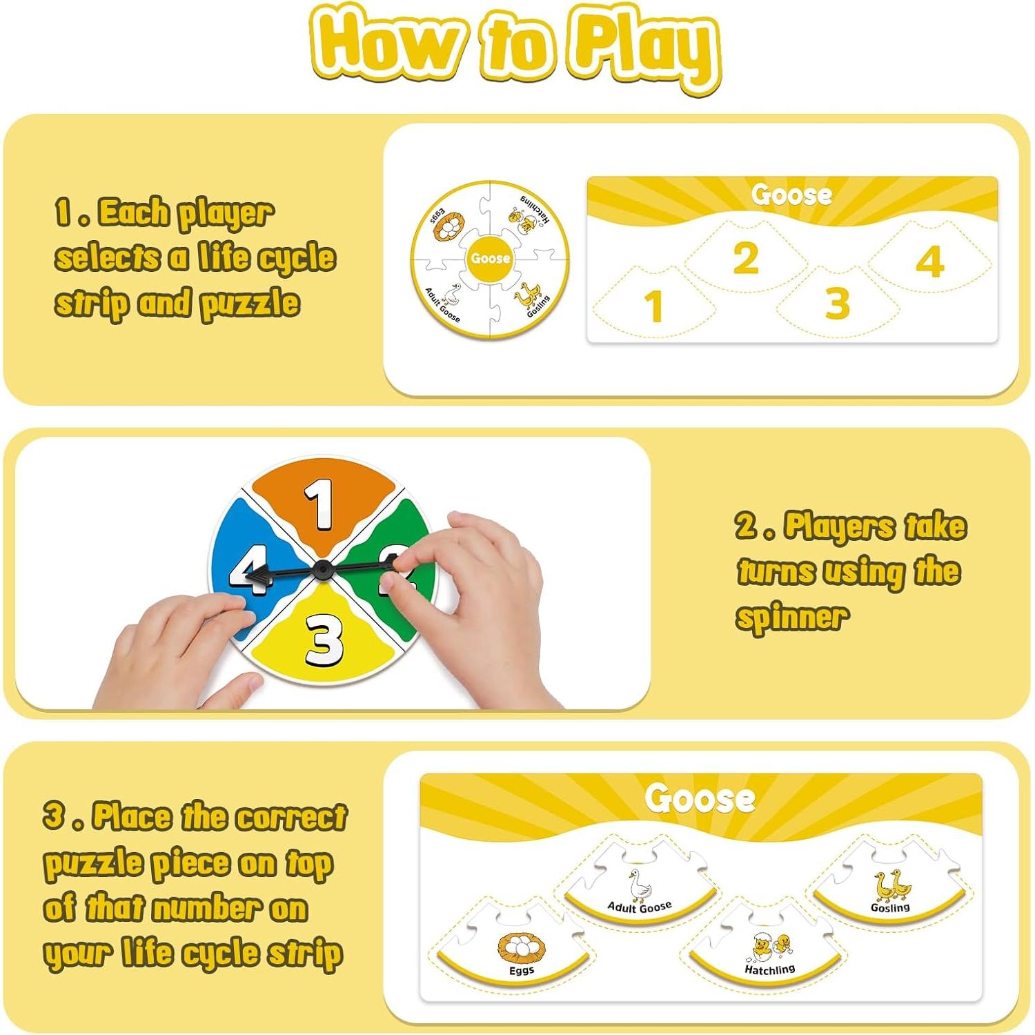 Rompecabezas Ciclo de Vida Montessori Dingliu - 14 Piezas