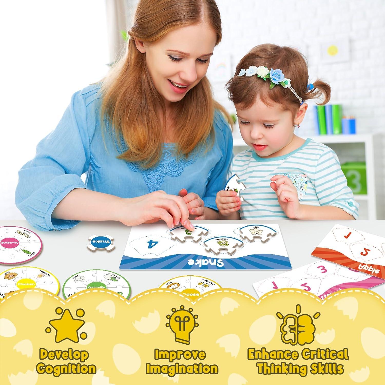 Rompecabezas Ciclo de Vida Montessori Dingliu - 14 Piezas