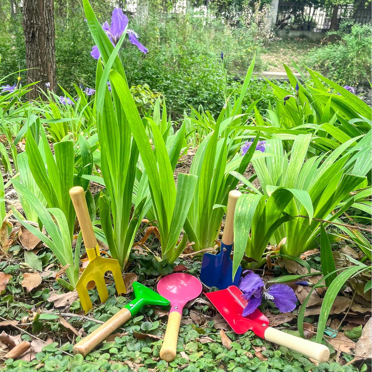 Juego de Herramientas de Jardinería para Niños Delphinus 5 Piezas