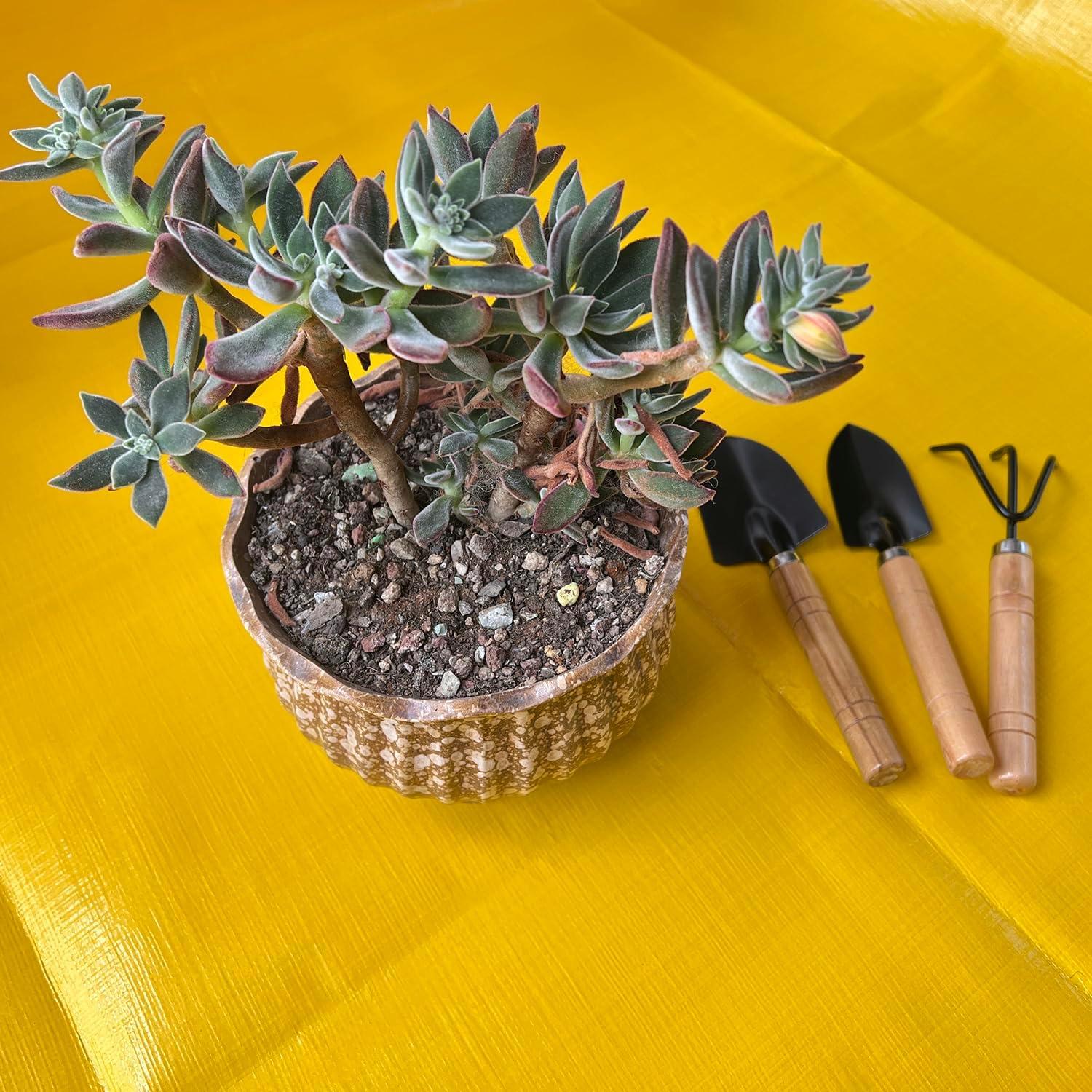 Juego de Herramientas de Jardinería Mini NiuXTool 3 Piezas