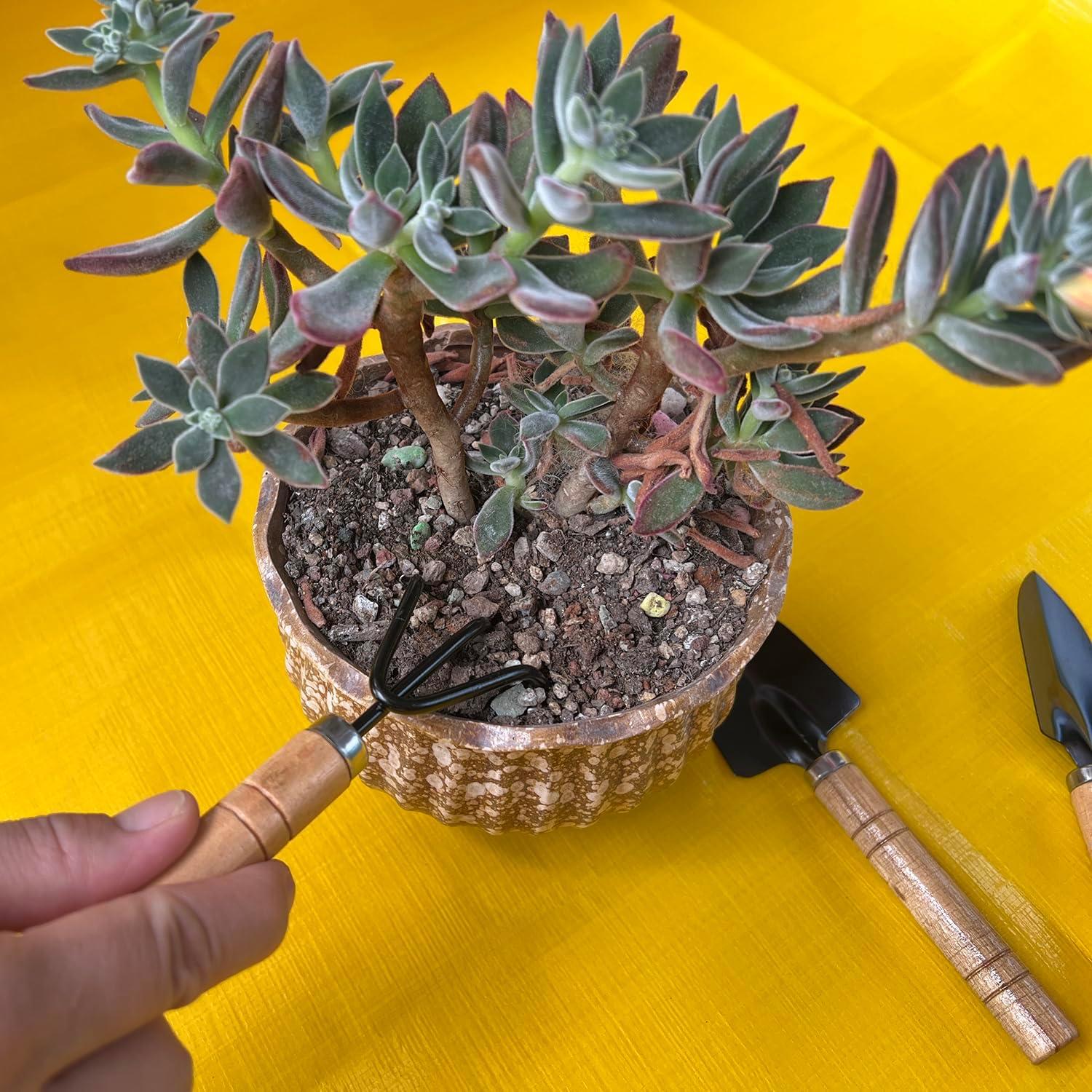 Juego de Herramientas de Jardinería Mini NiuXTool 3 Piezas