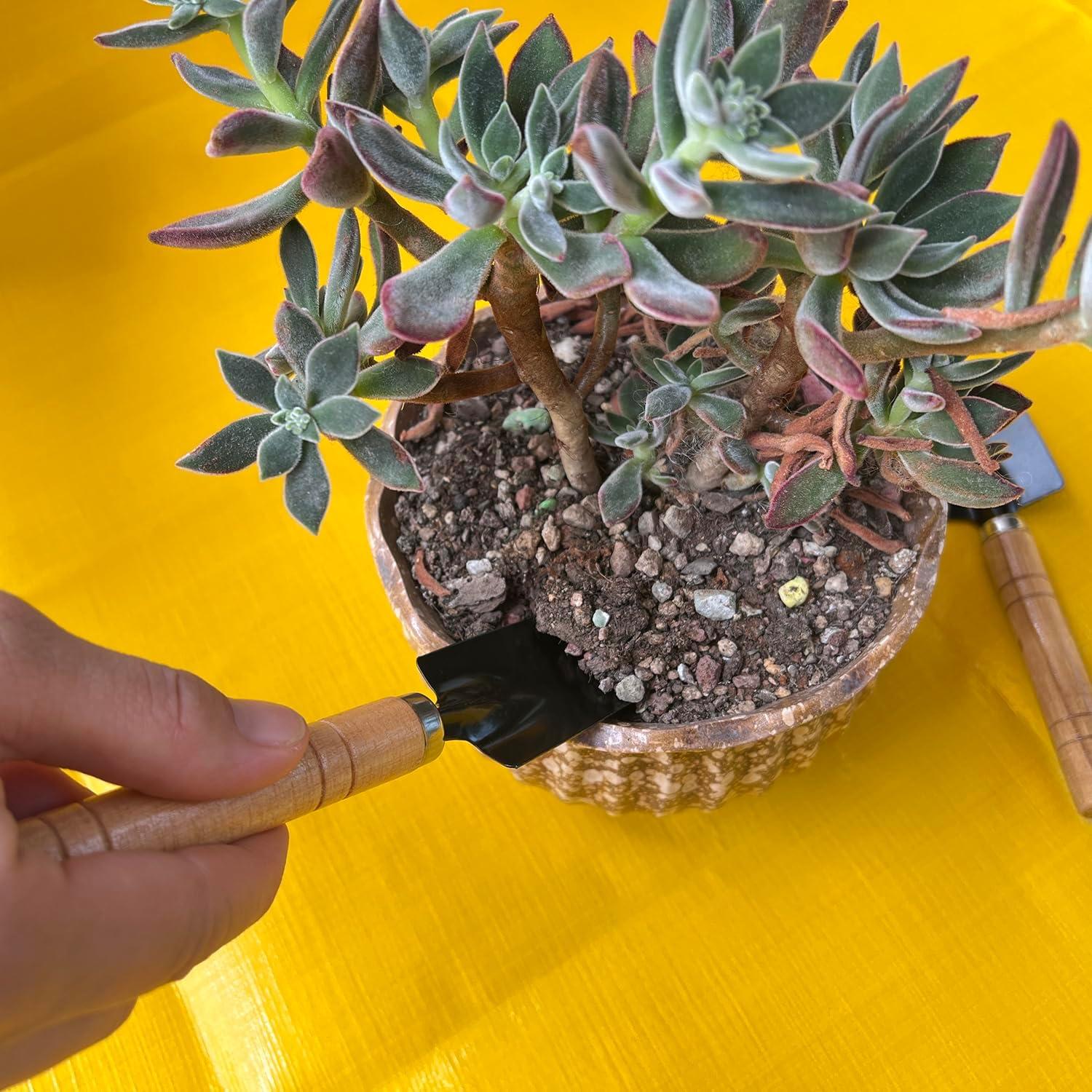 Juego de Herramientas de Jardinería Mini NiuXTool 3 Piezas