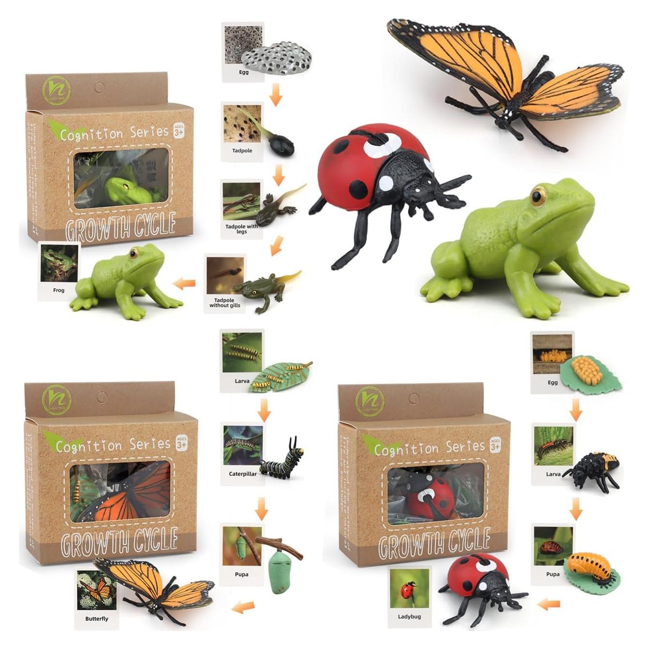 Juguetes de Aprendizaje Montessori Boticako - Ciclo de Vida Insectos
