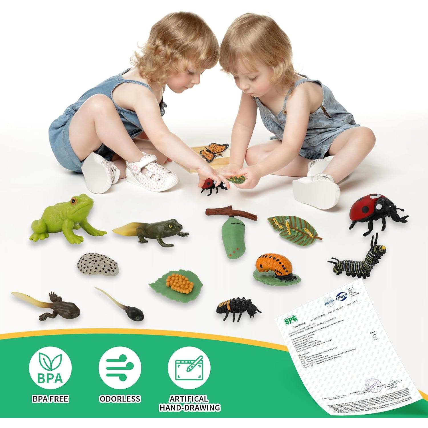 Juguetes de Aprendizaje Montessori Boticako - Ciclo de Vida Insectos