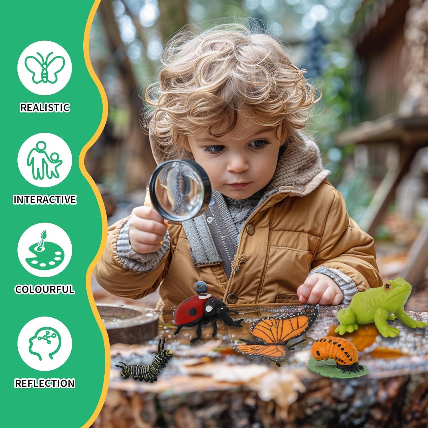 Juguetes de Aprendizaje Montessori Boticako - Ciclo de Vida Insectos