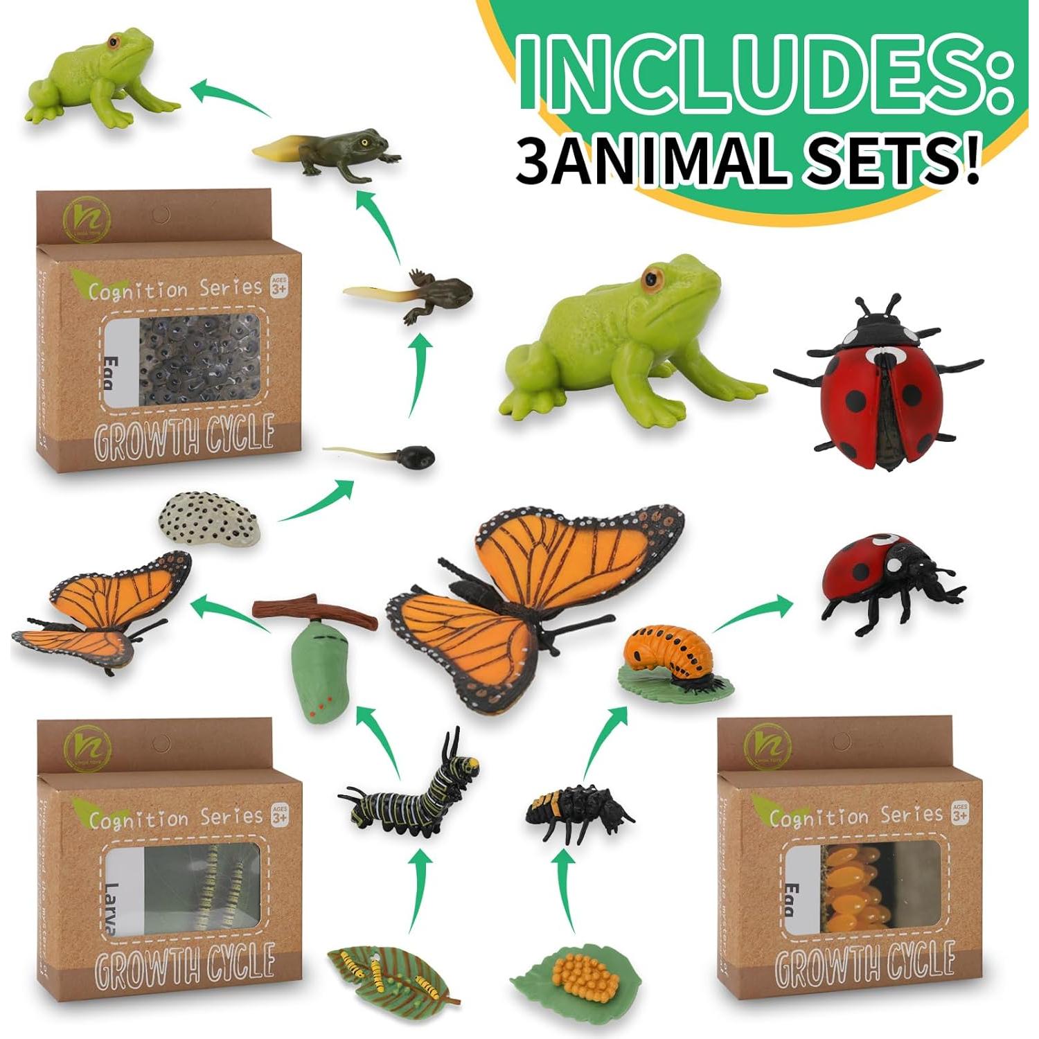 Juguetes de Aprendizaje Montessori Boticako - Ciclo de Vida Insectos