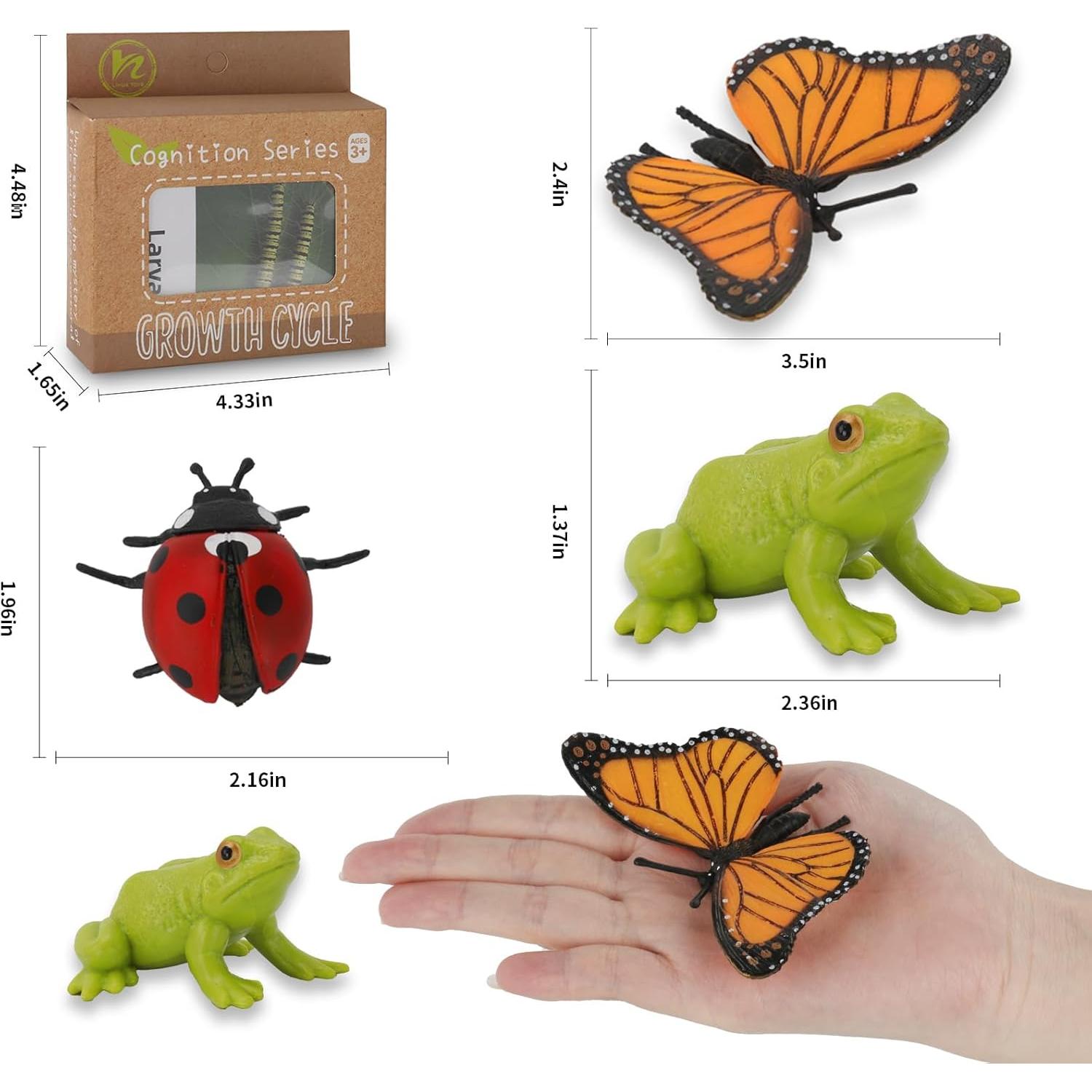 Juguetes de Aprendizaje Montessori Boticako - Ciclo de Vida Insectos