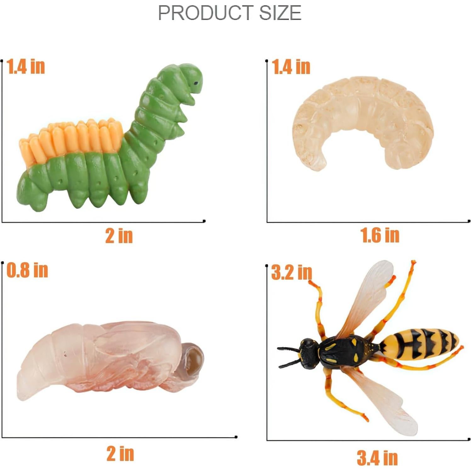 Figuras Ciclo de Vida Abeja Reina Montessori MIKNEKE