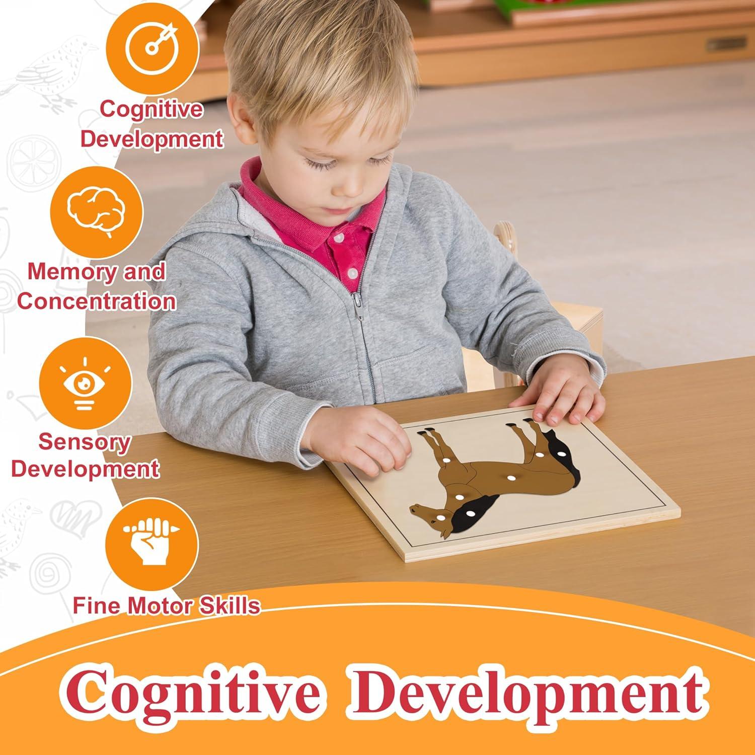 Rompecabezas Montessori Caballo 24x24 cm para Niños 3-6 Años