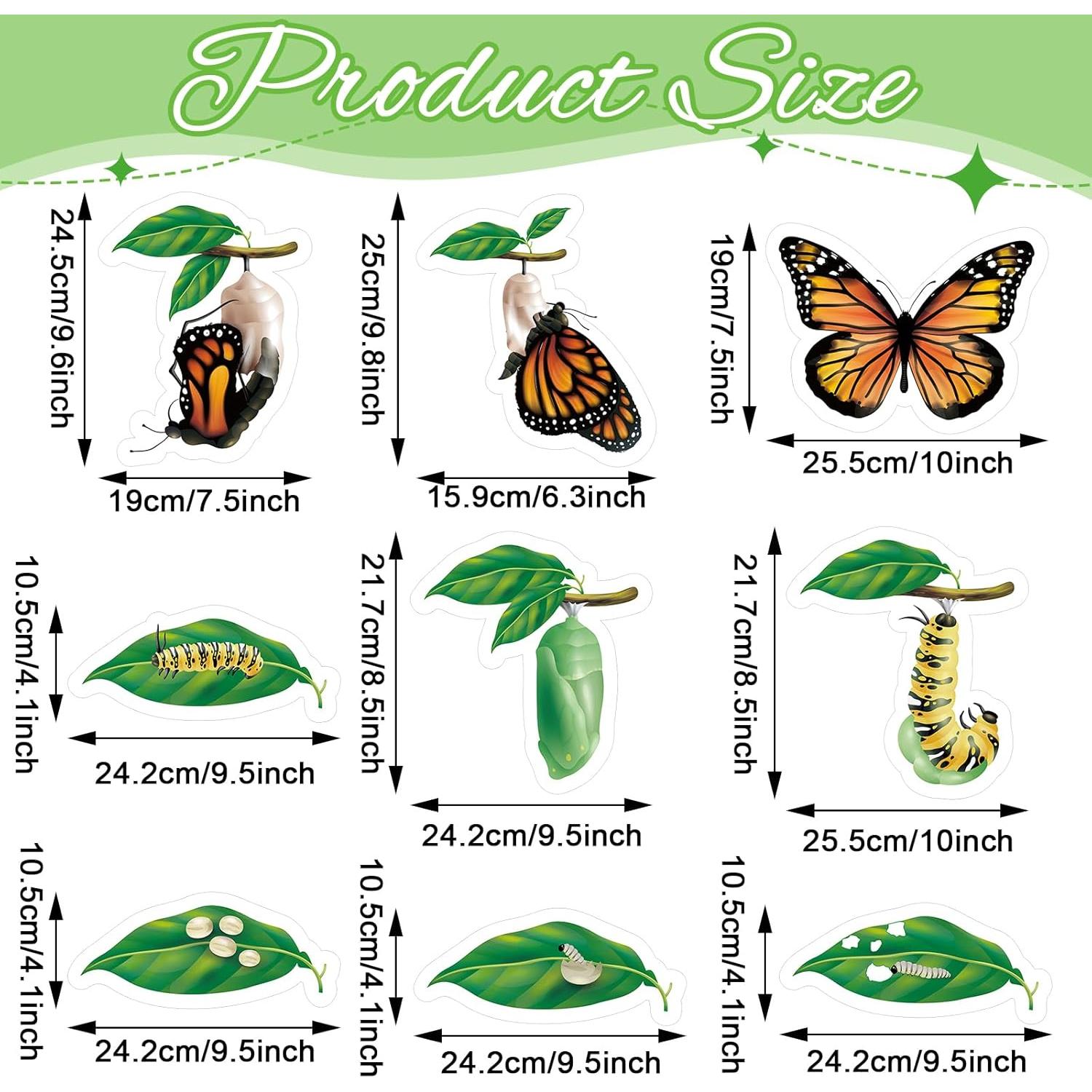 Juguetes Magnéticos Ciclo de Vida Mariposa Relaxweex 9 Piezas