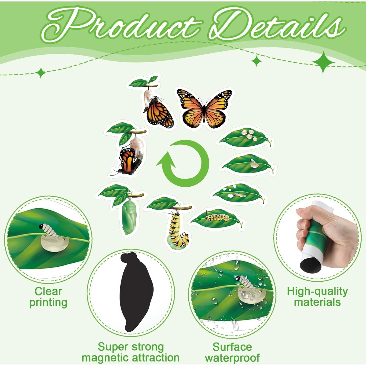 Juguetes Magnéticos Ciclo de Vida Mariposa Relaxweex 9 Piezas