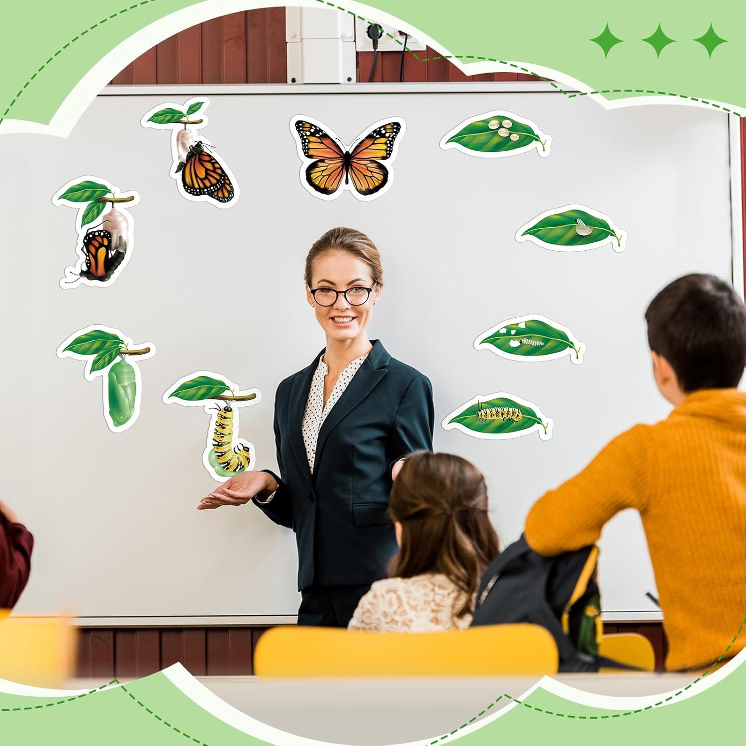 Juguetes Magnéticos Ciclo de Vida Mariposa Relaxweex 9 Piezas