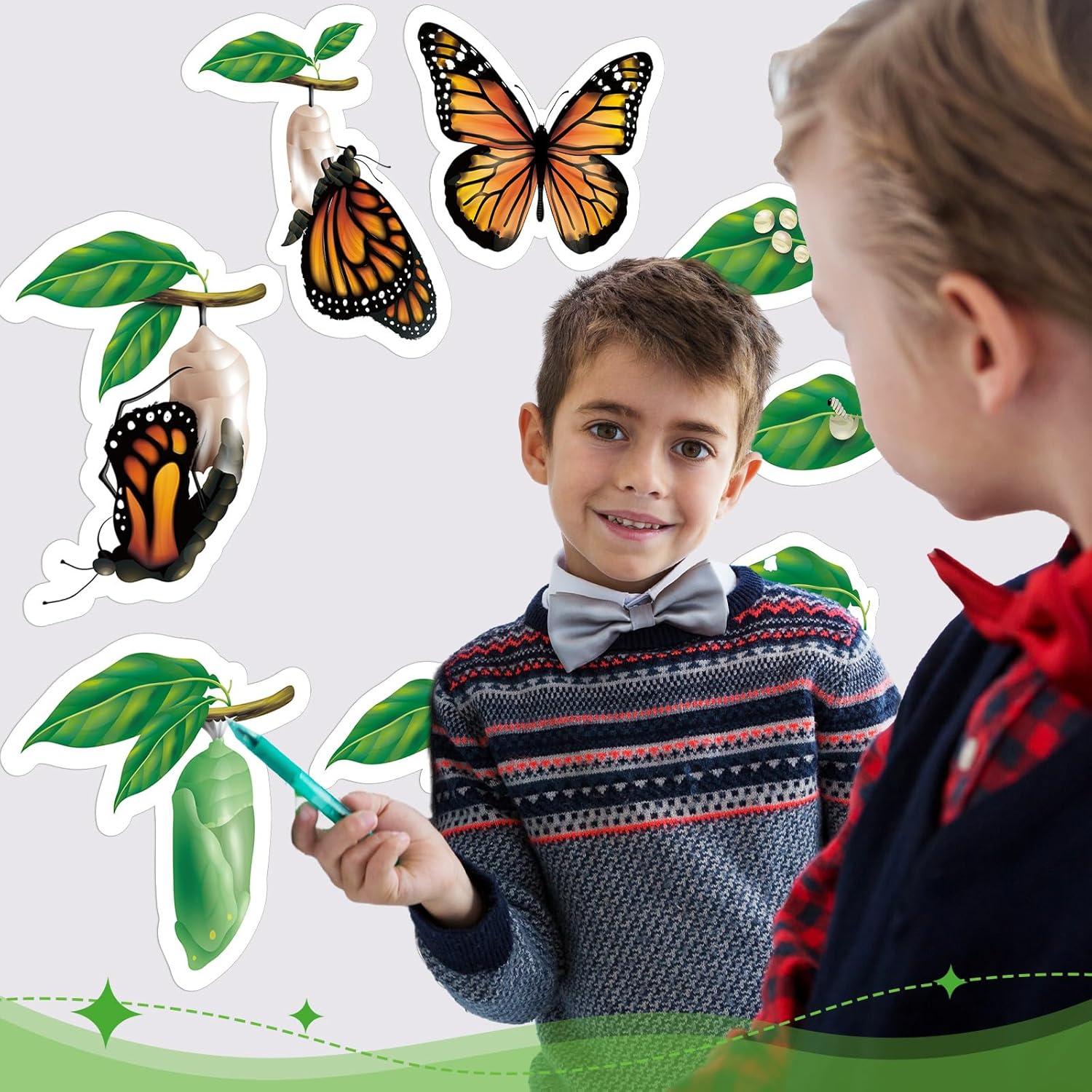 Juguetes Magnéticos Ciclo de Vida Mariposa Relaxweex 9 Piezas