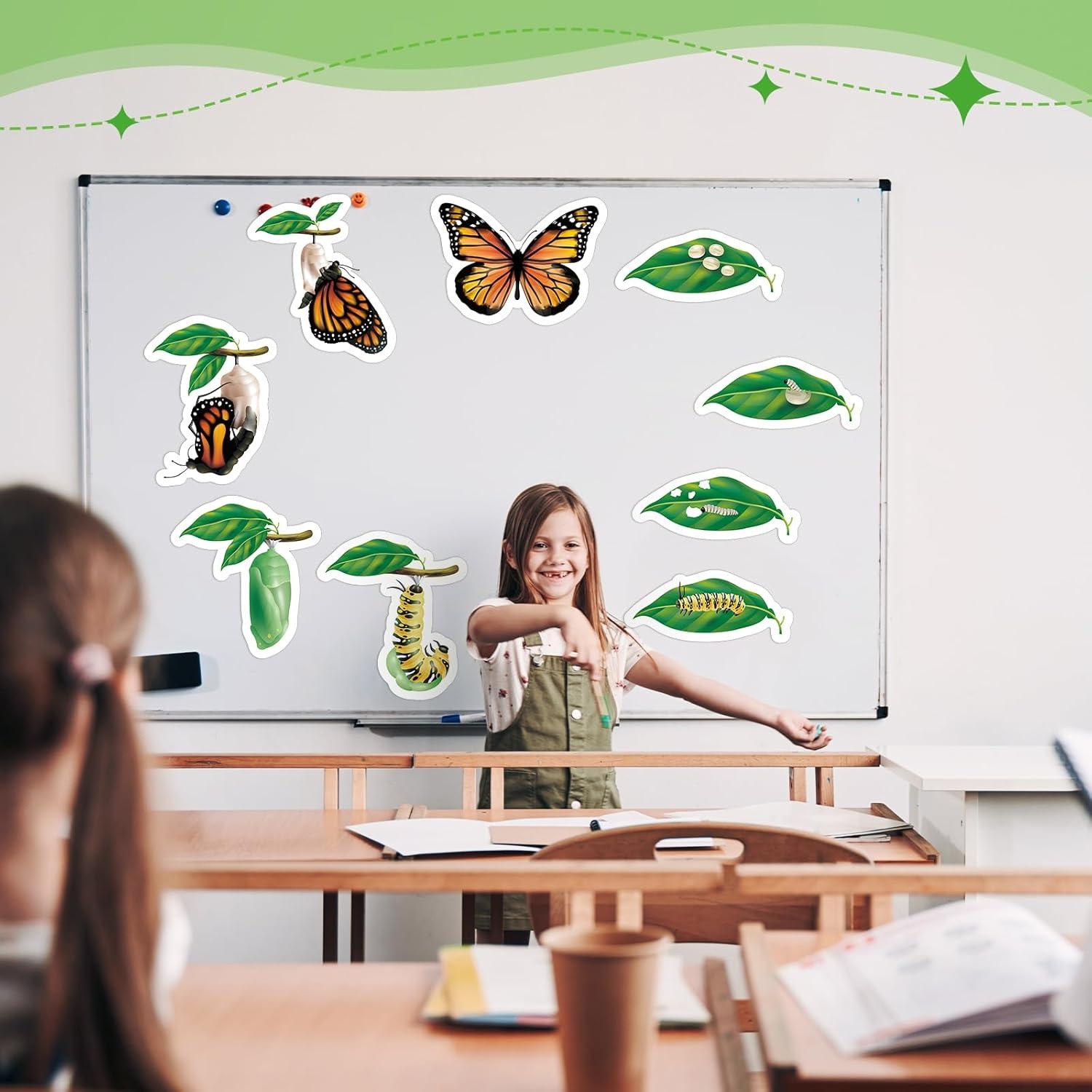 Juguetes Magnéticos Ciclo de Vida Mariposa Relaxweex 9 Piezas