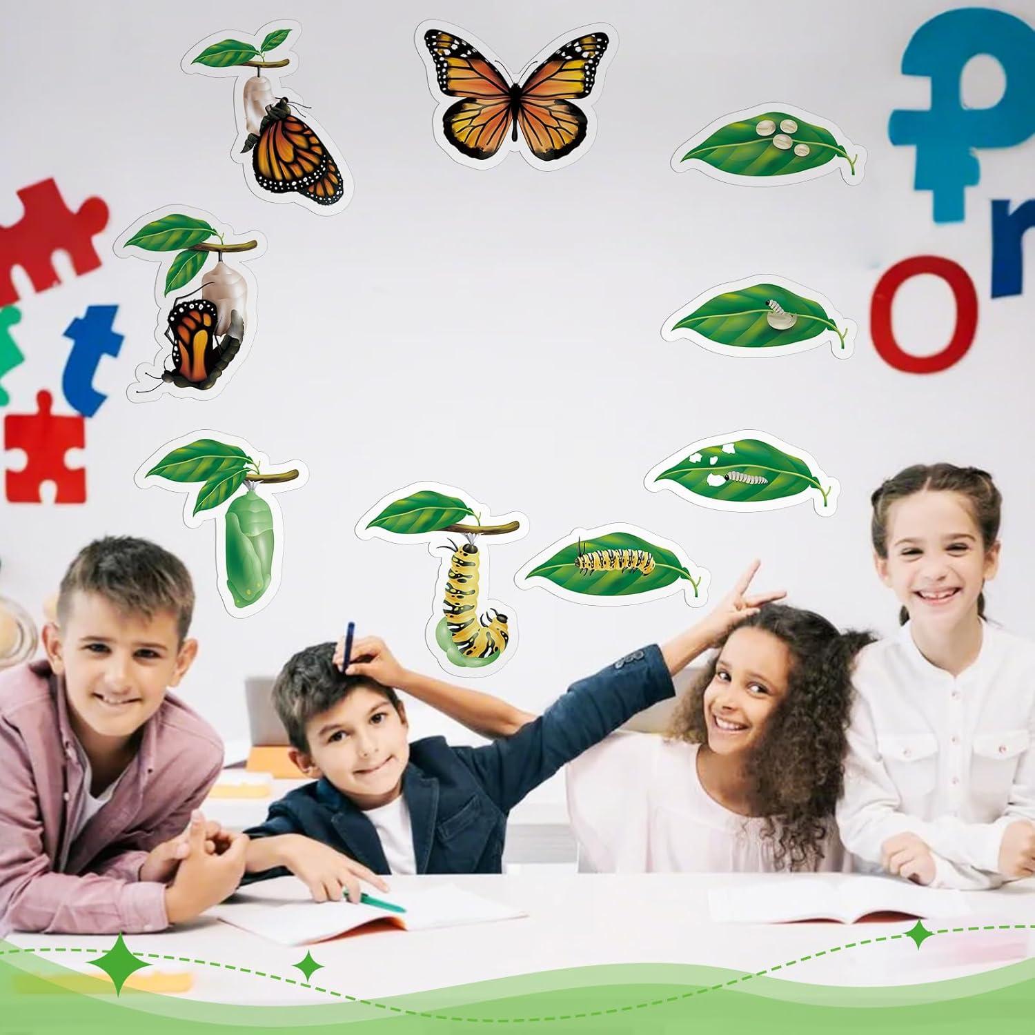 Juguetes Magnéticos Ciclo de Vida Mariposa Relaxweex 9 Piezas