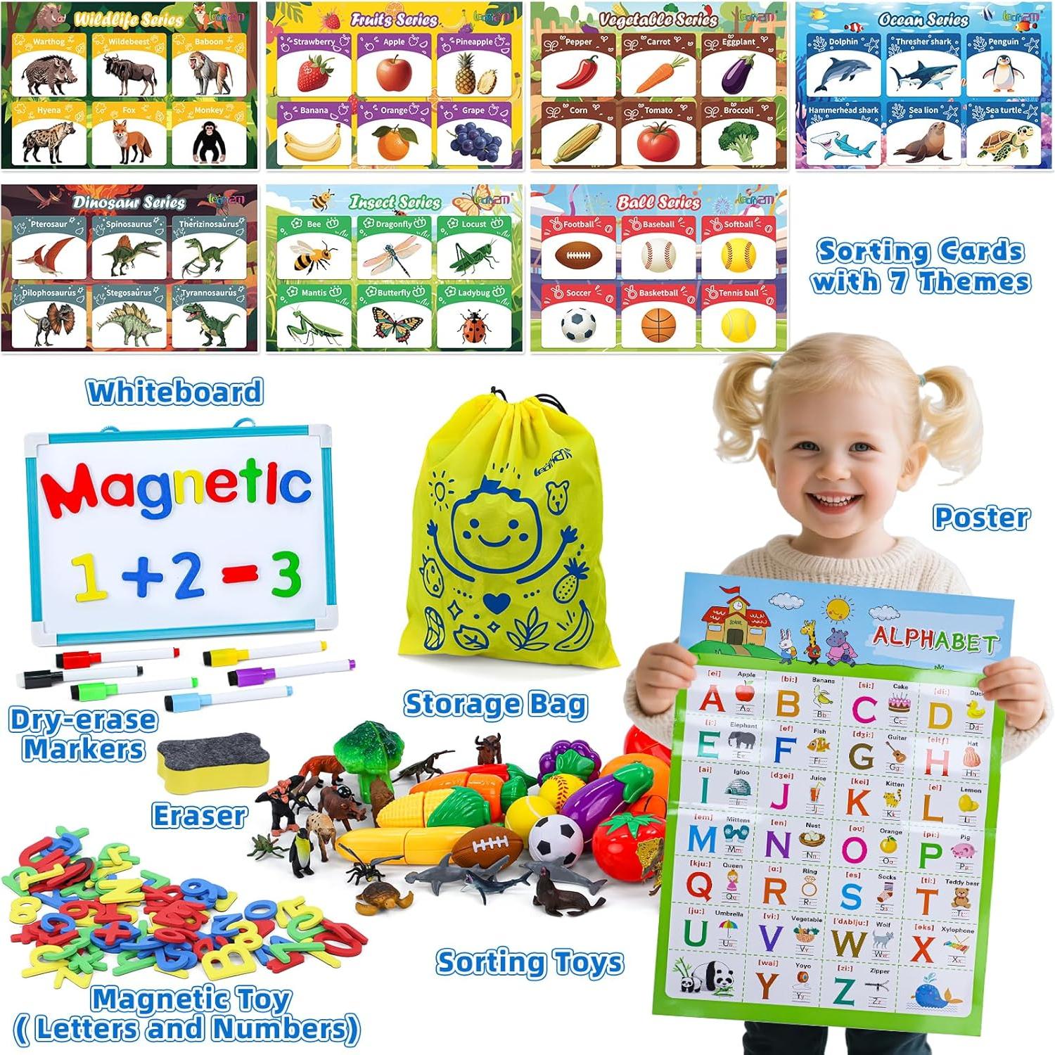 Juego de Clasificación Montessori Learn2M 7 Temas 1.07kg