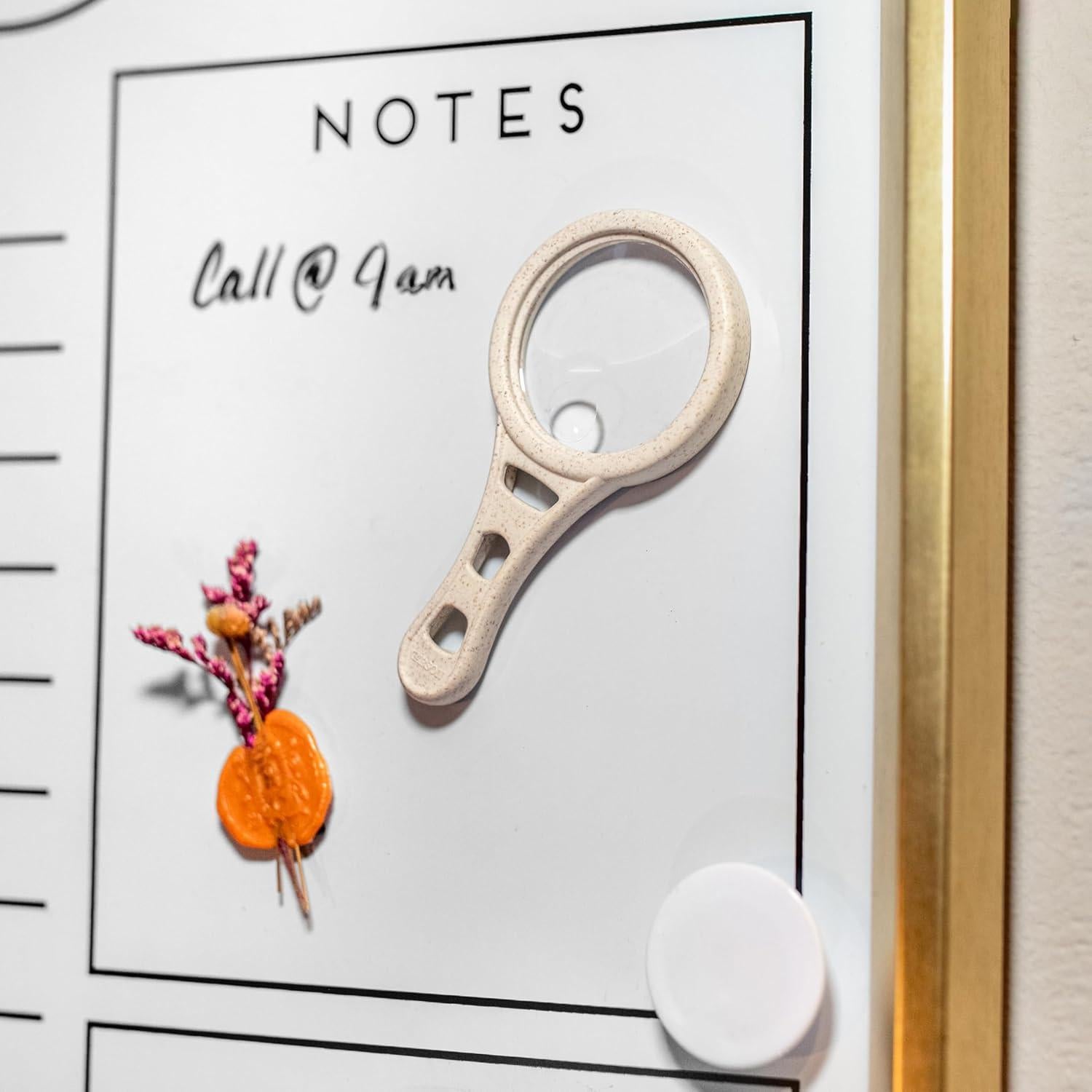 Juego de 4 Lentes de Aumento Carson - Mango Magnético 3x y 6x