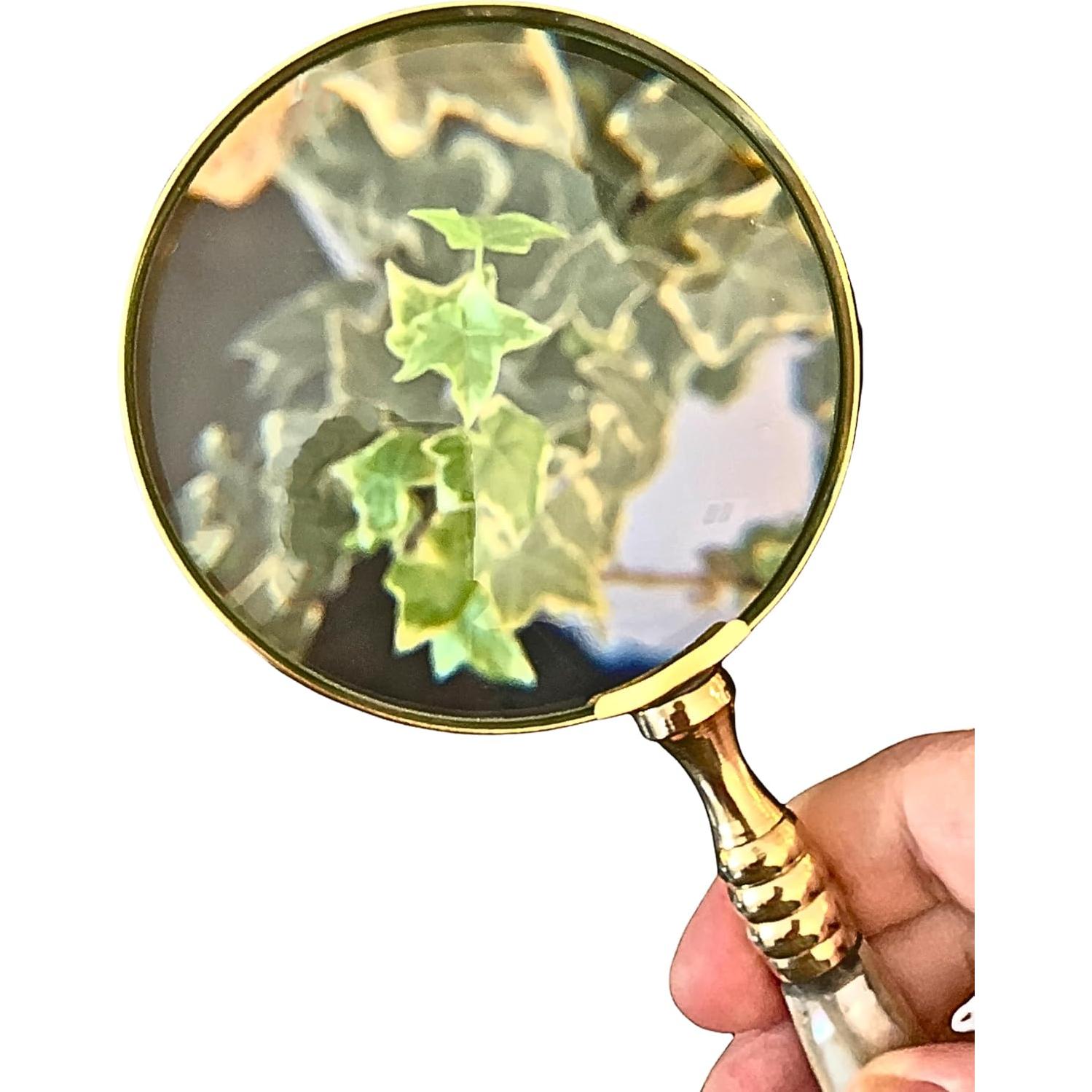 Lupa de Mano Evenchae 4X con Mango de Madreperla y Latón