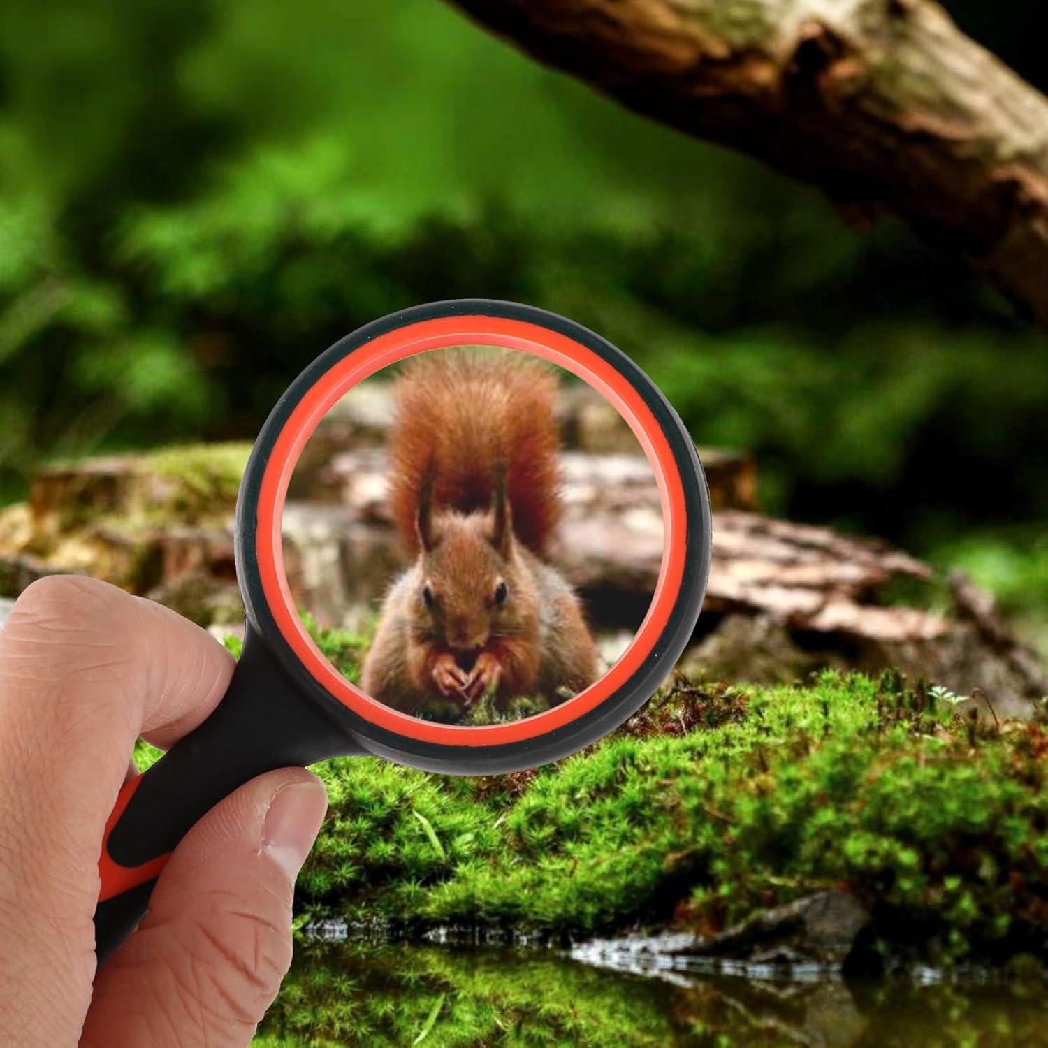 8 Lupas de Mano DIVINA VITAE 10X 50mm para Lectura