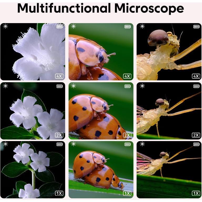 Lupa para Niños Ashfly 2" HD 200x con Luz LED Morado