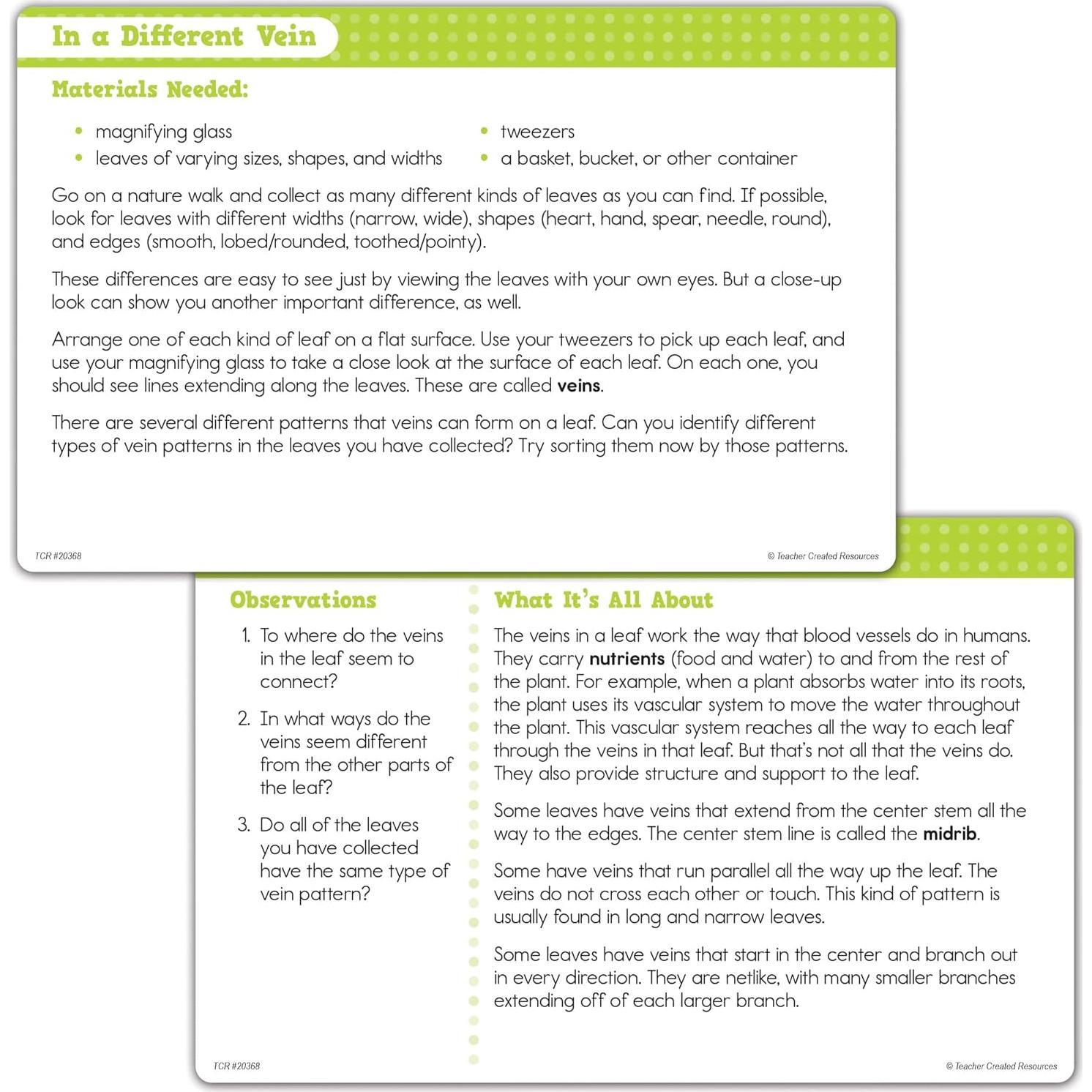 Juego de Actividades Científicas Teacher Created Resources TCR20368