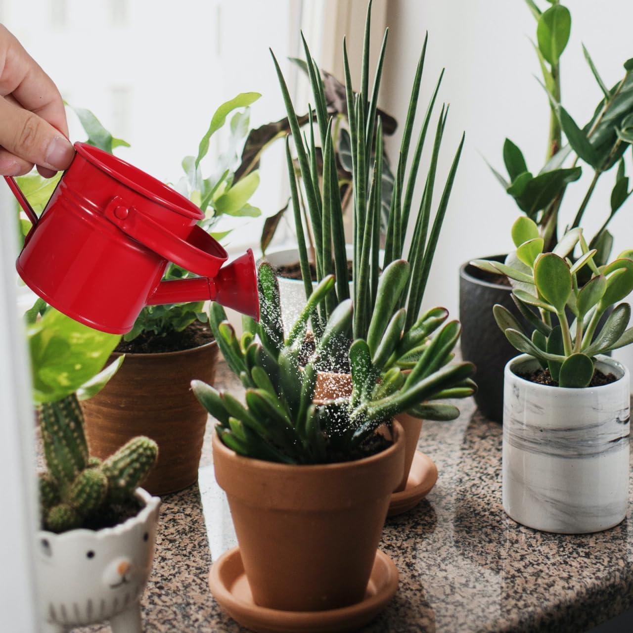 2 Regaderas de Metal para Niños Toddmomy - 15x7.5cm Rojo