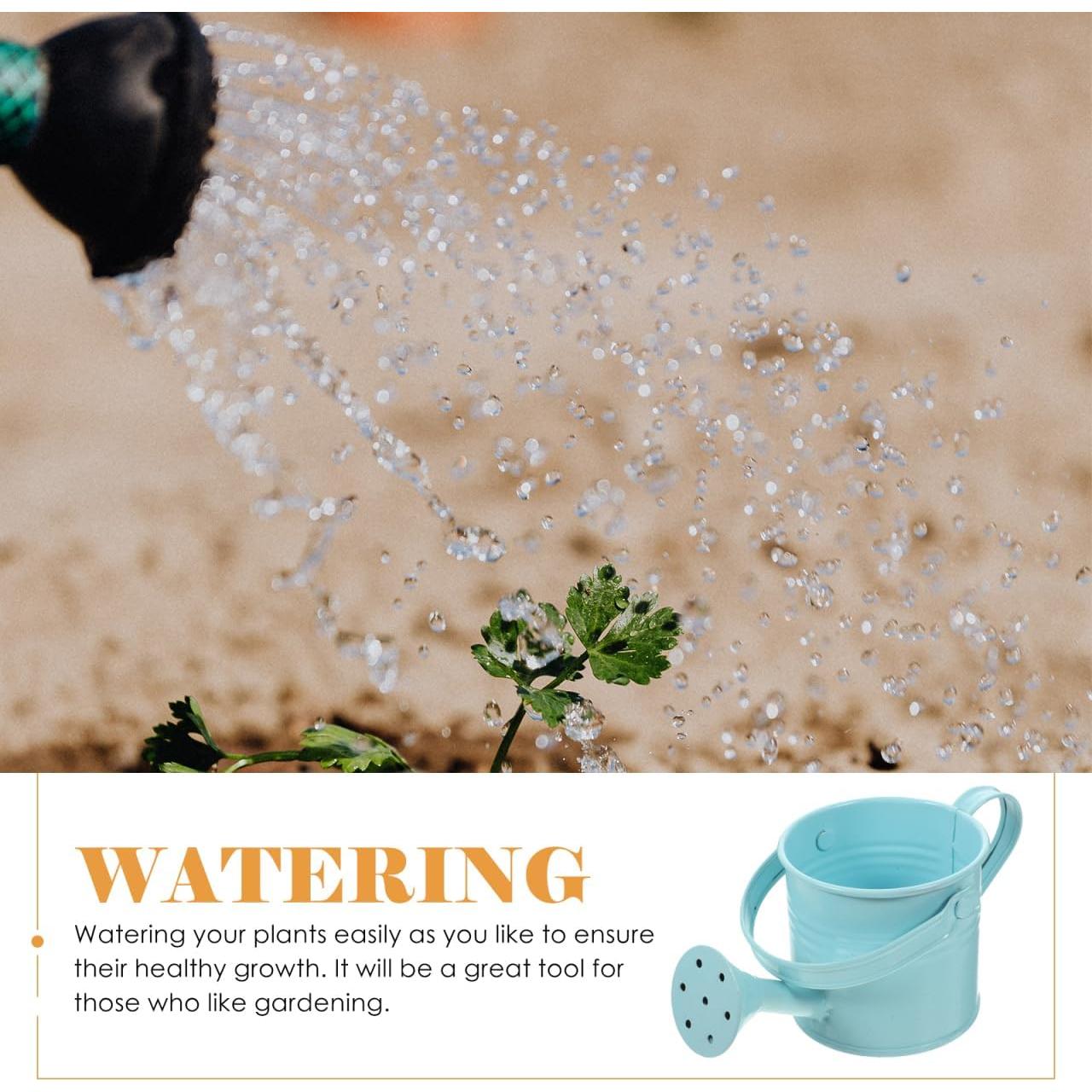 Regadera Infantil de Metal DOITOOL 5PCS 15x7.5cm Estilo Mixto