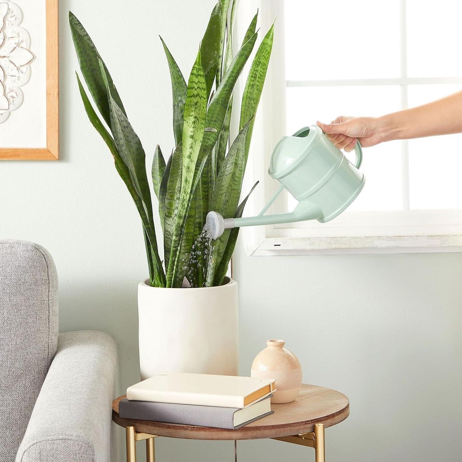 Regadera Verde Menta Farmlyn Creek 1.5L Plástico Jardín