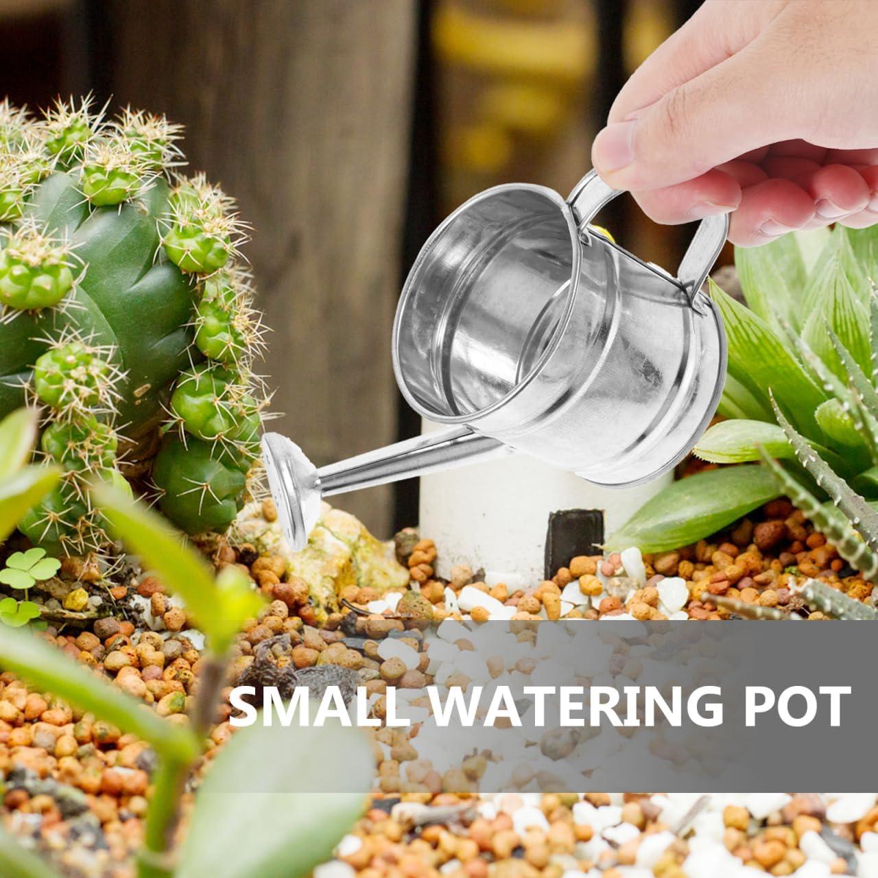 Mini Watering Can: 5pcs Kids Small Watering Can, Metal for Indoor Outdoor Plants, Children Iron for Garden Yard Home Plants Flower