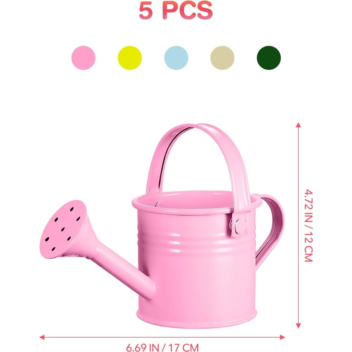 5 Regaderas de Hierro para Niños - Chic Cubo de Agua 0.5kg